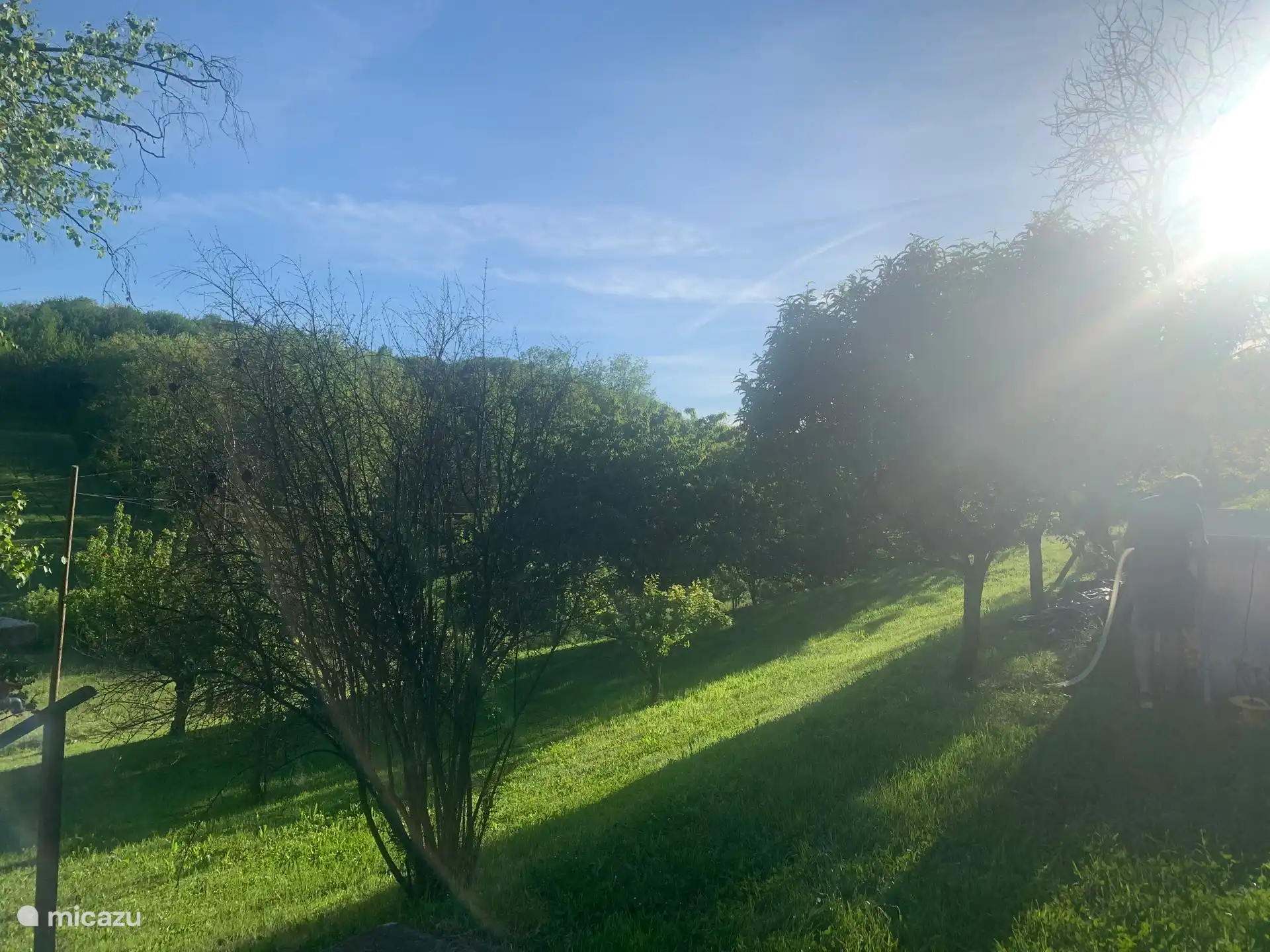 Zicht op de fruitboomgaard met veel verschillende soorten fruit waaronder appels, peren, abrikozen, granaatappel, vijgen, kweepeer en mispels. 