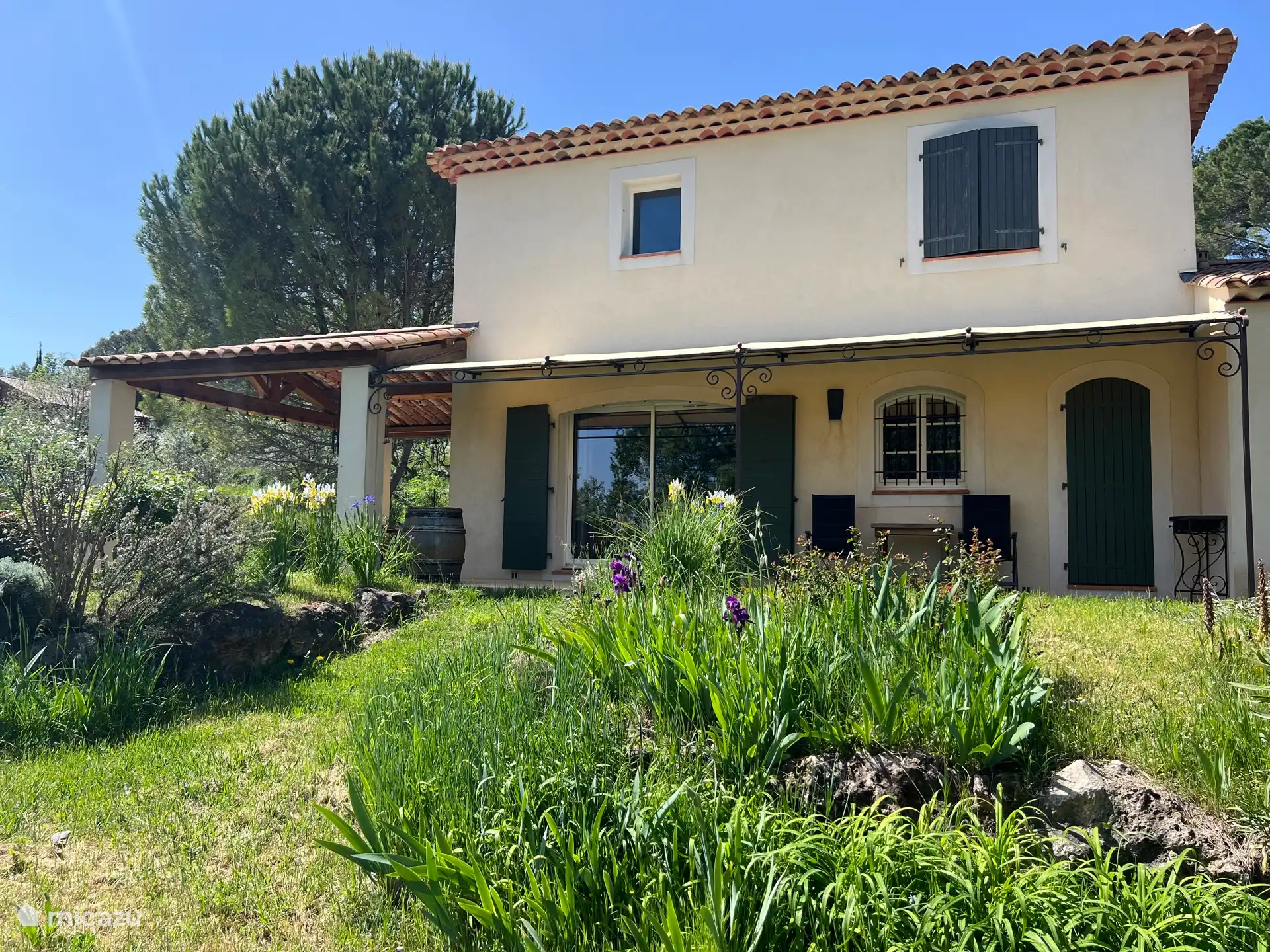 De olijfbomen huren in Frankrijk, Var, Salernes - villa