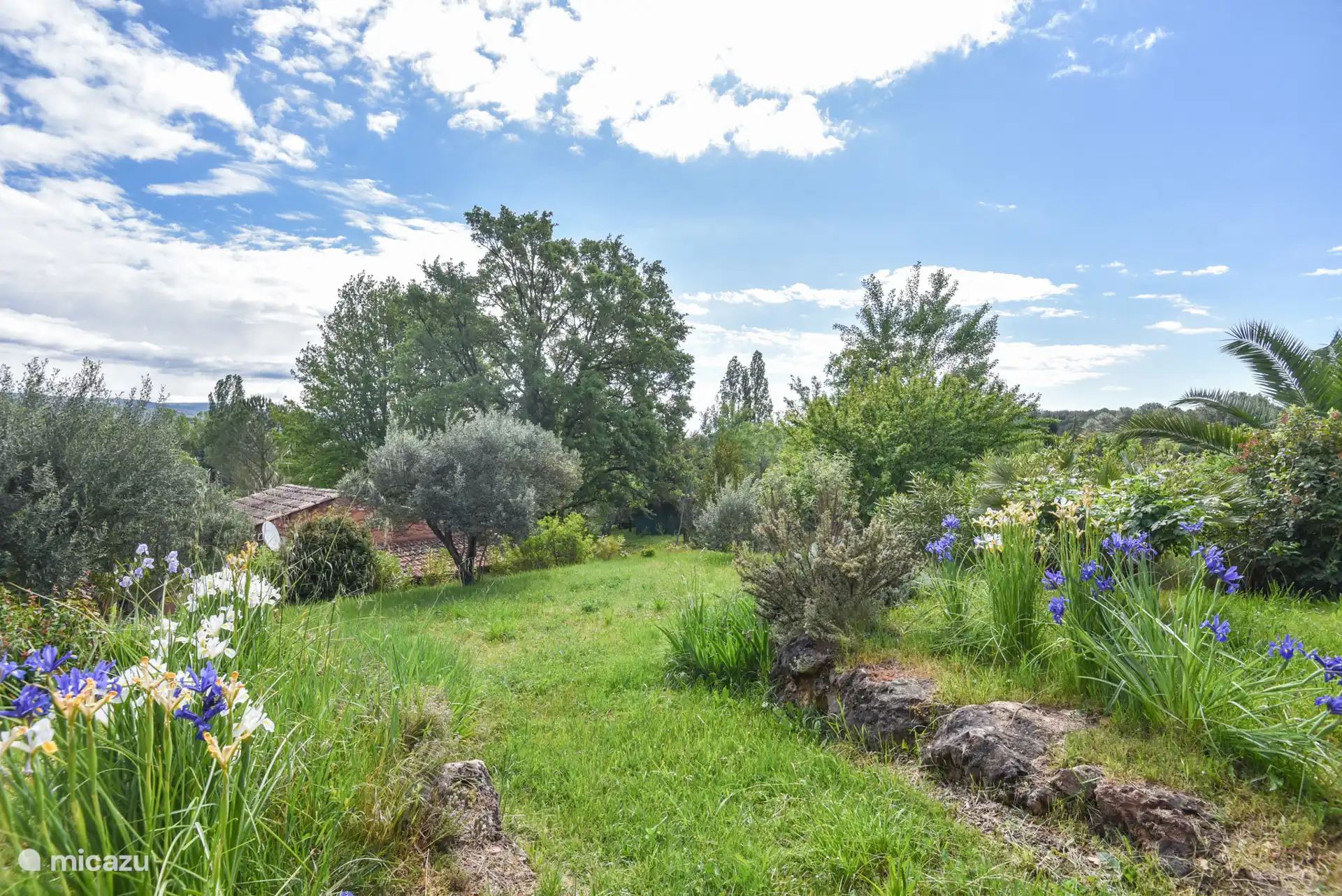 Tuin aan de terras/pergola-zijde