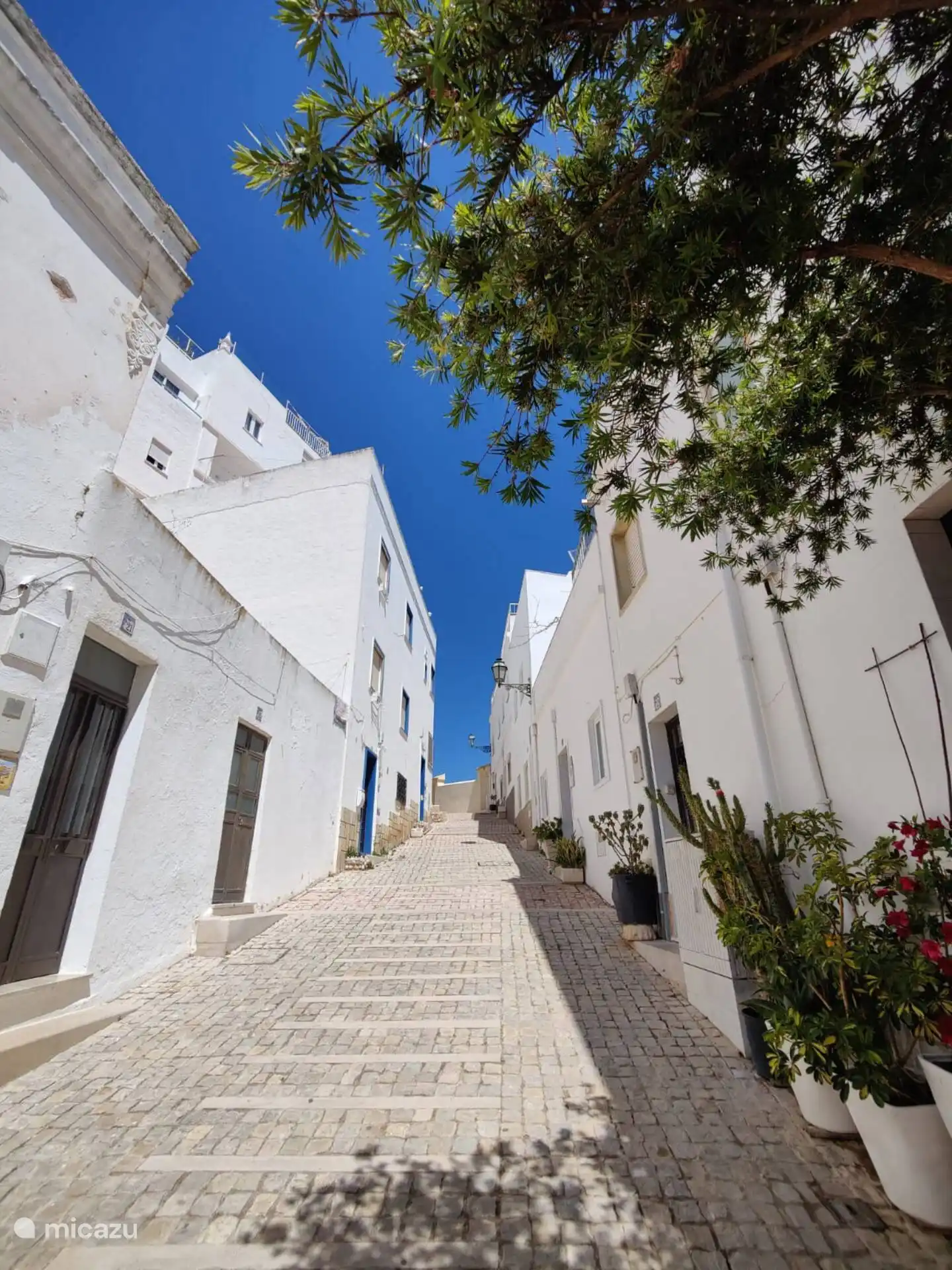 70 meter van het strand