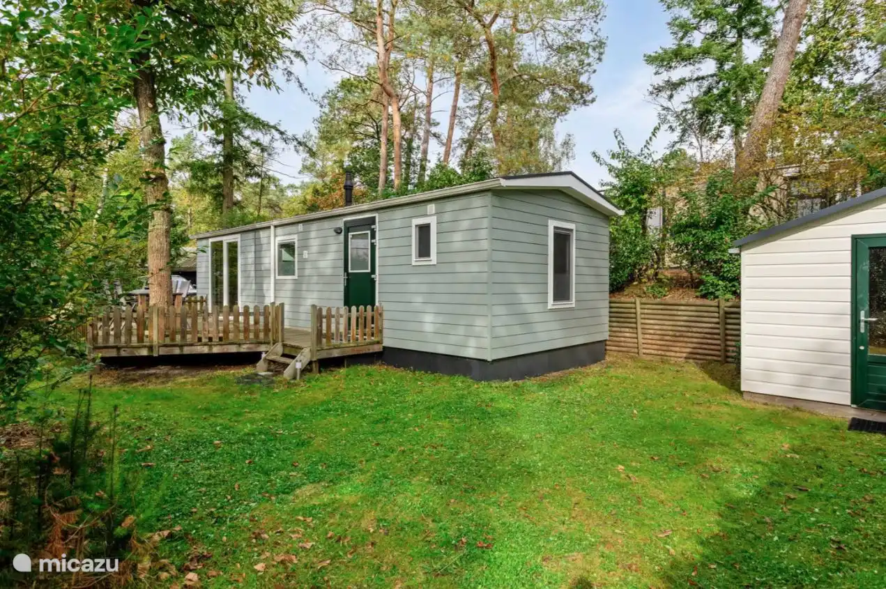 Natación, Países Bajos, Güeldres, Nunspeet, chalet Forrest Lodge en el parque forestal de Nunspeet