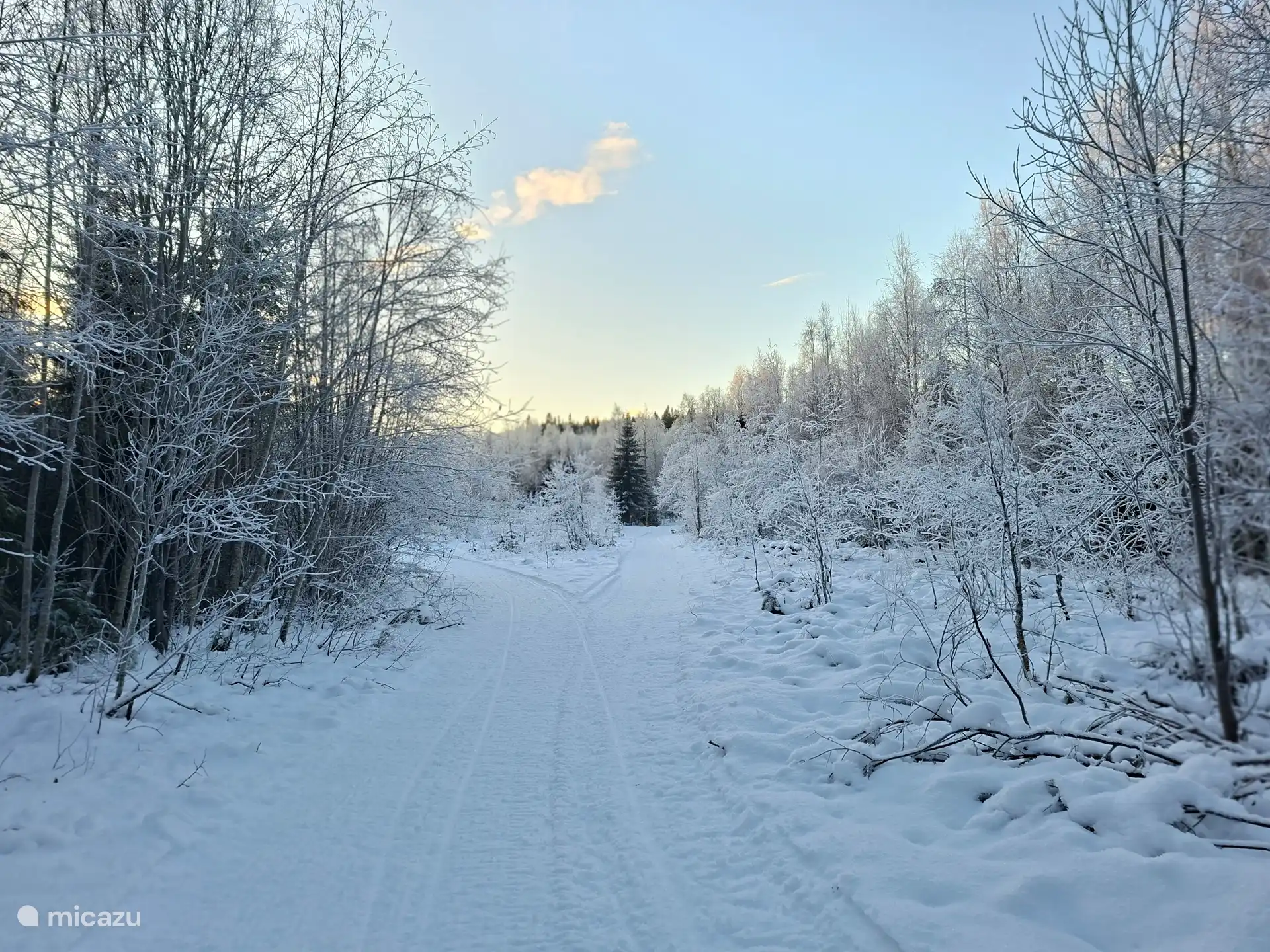 Zona de Norrfors en invierno