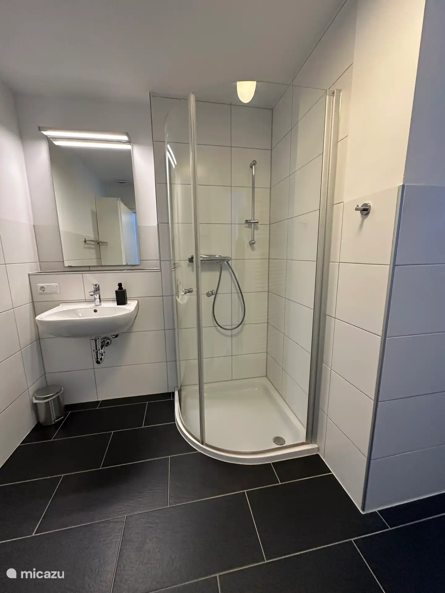 Badkamer met Douche, wastafel en toilet