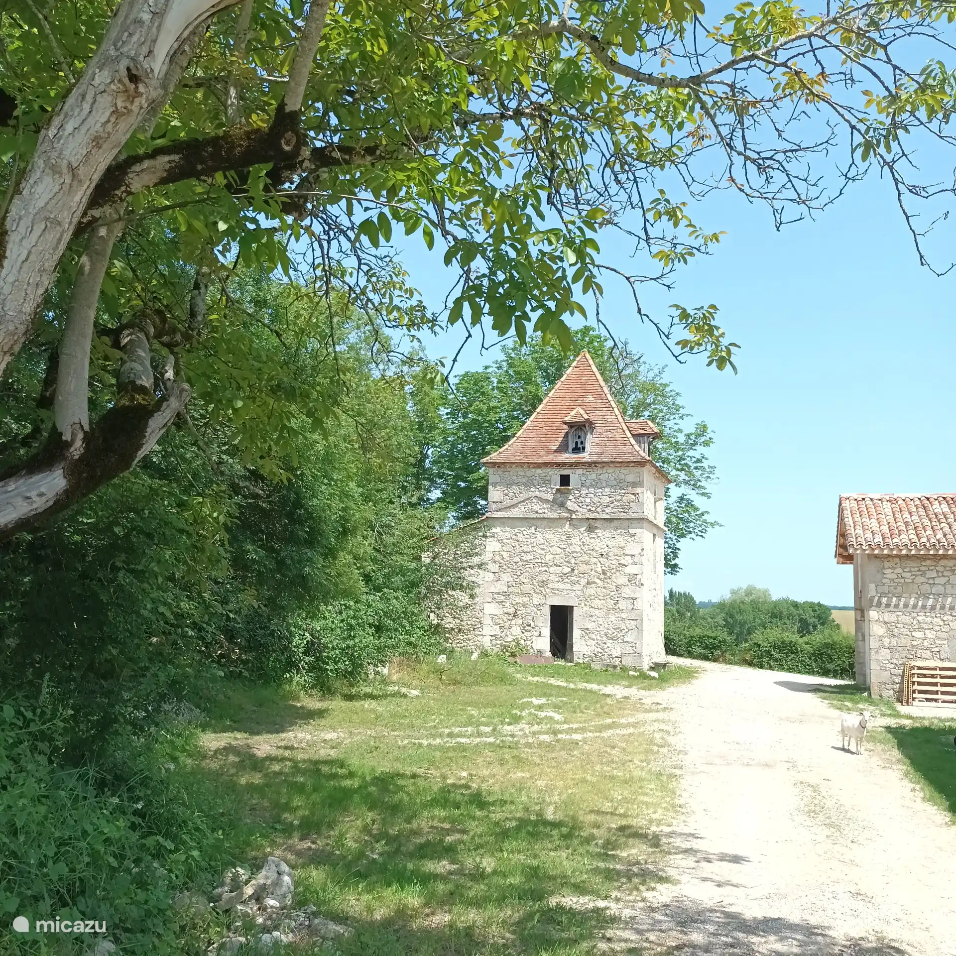 Les environs des pigeonniers