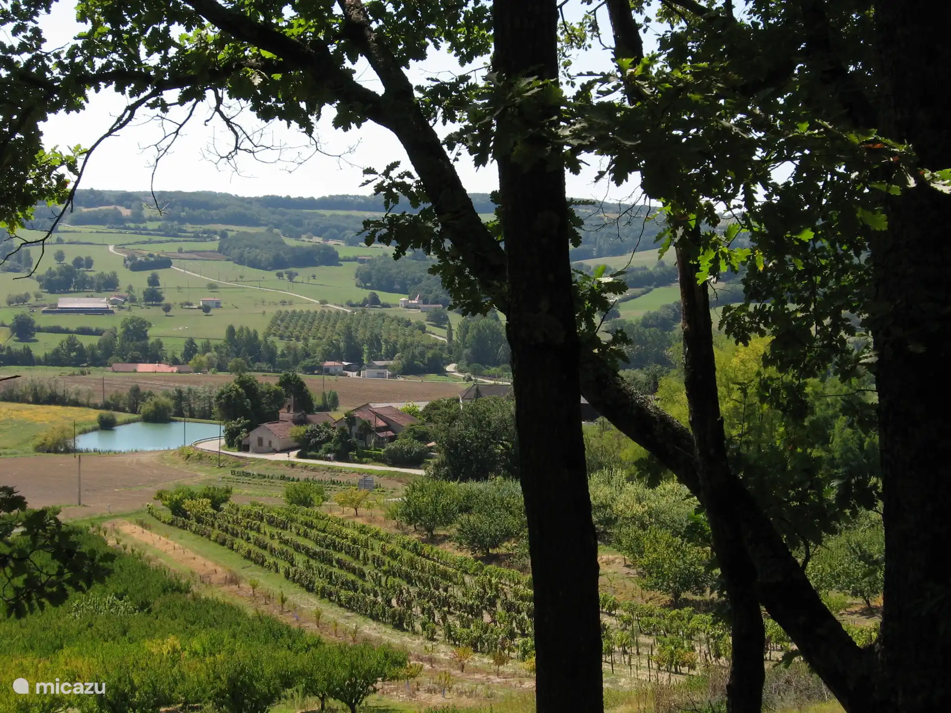 Vue panoramique des environs