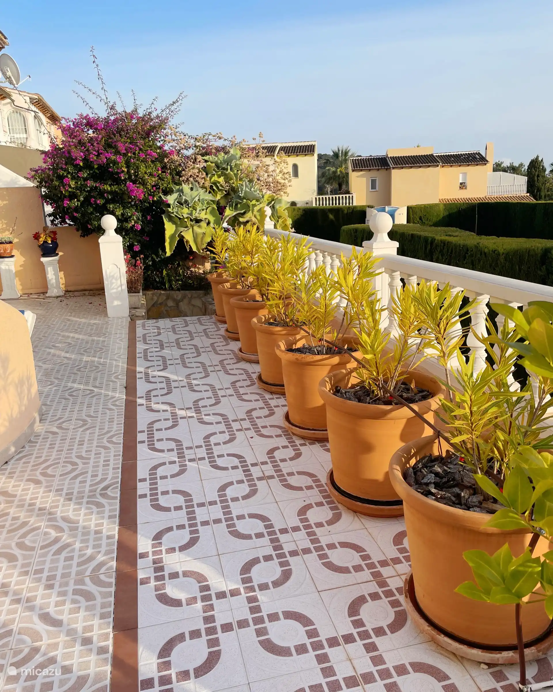 Terrasse inférieure