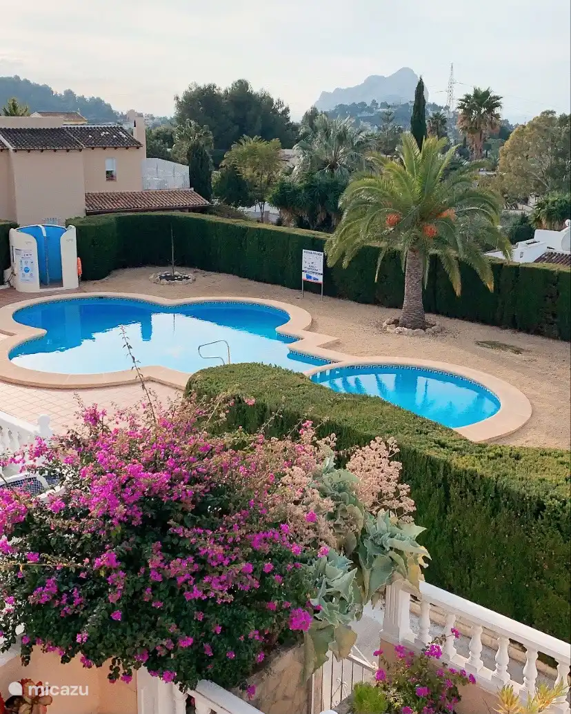 Piscine vue depuis le salon