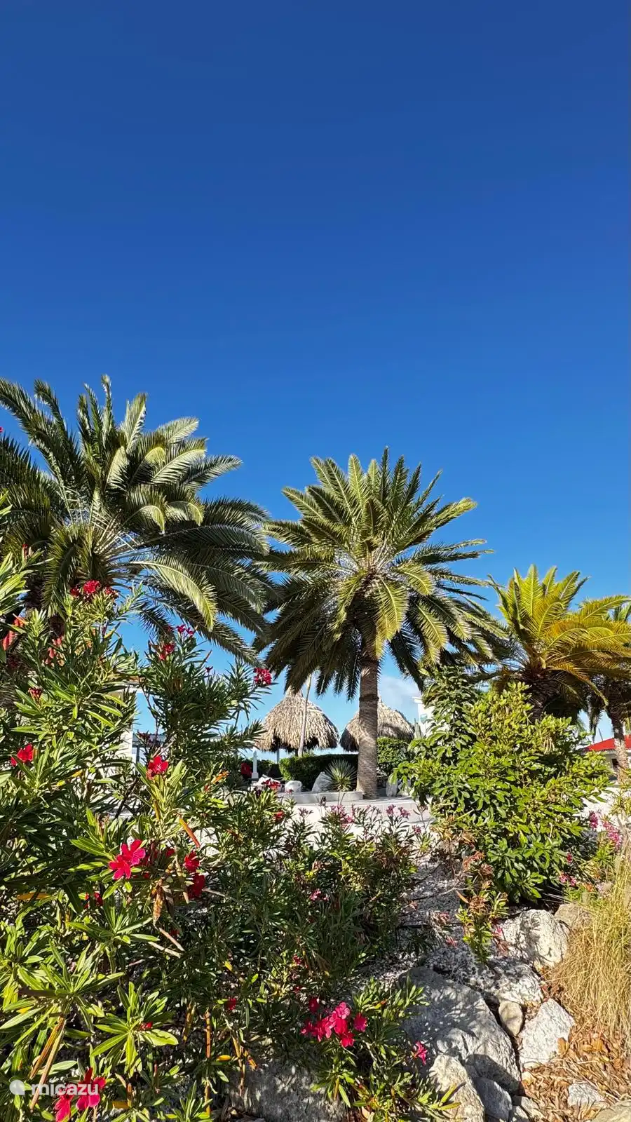 Santa Catharina Resort