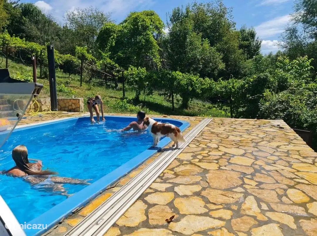 Flexibel annuleren Hongarije, Baranya, Boldogasszonyfa – landhuis / kasteel Villa Forest, silence and stars