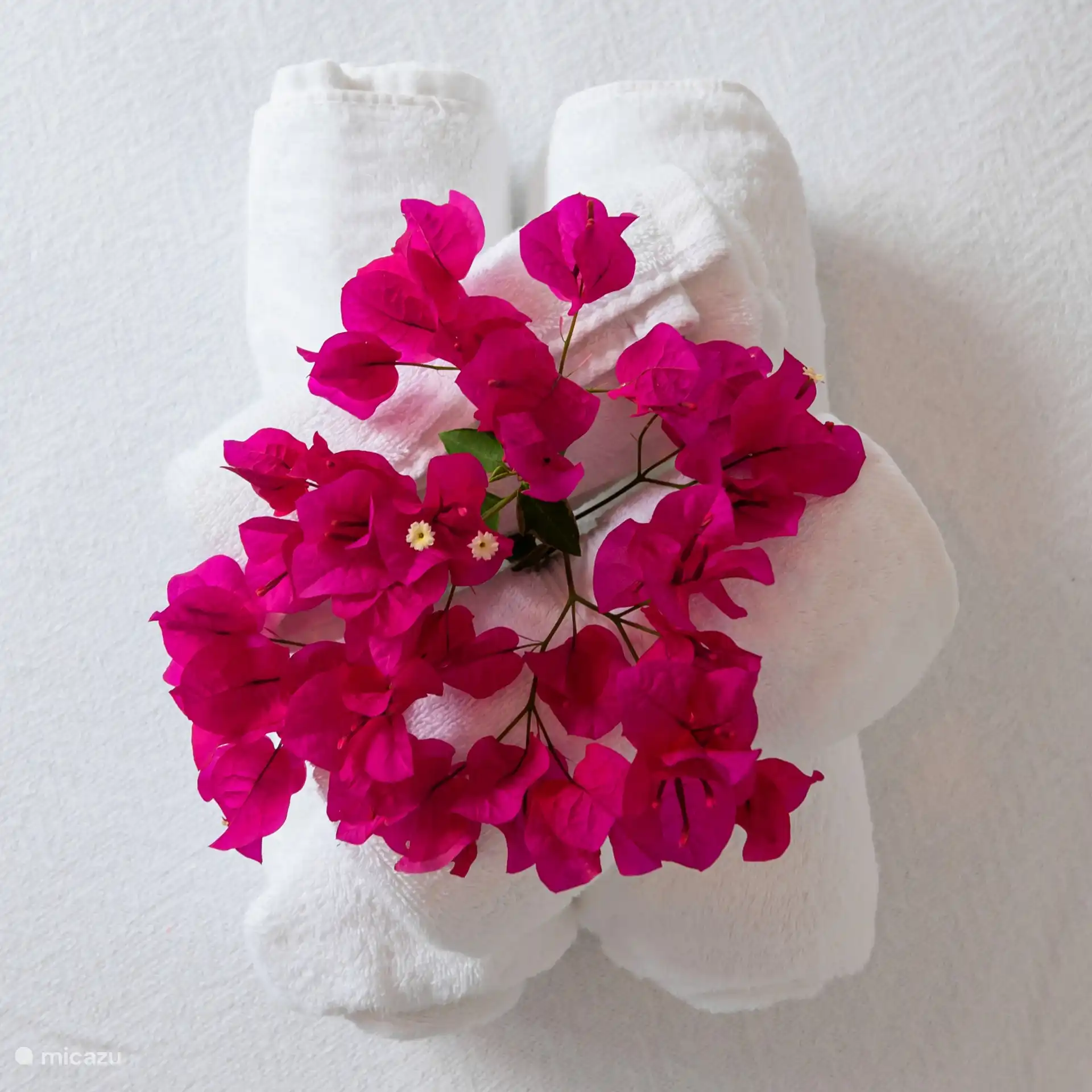 Towels