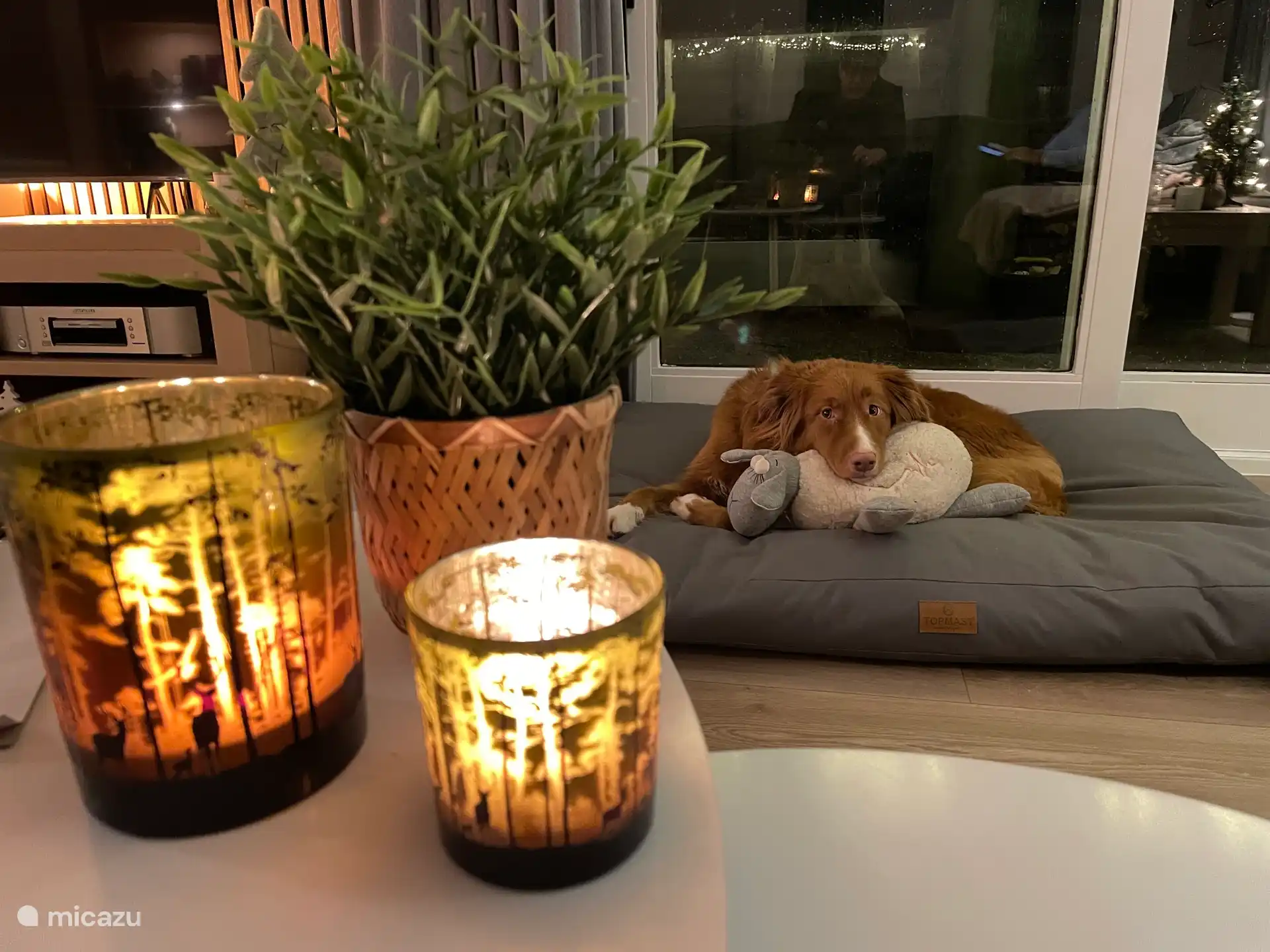 ¡Tu mascota puede venir! Se permiten un máximo de dos mascotas, varias en consulta y sin coste adicional.