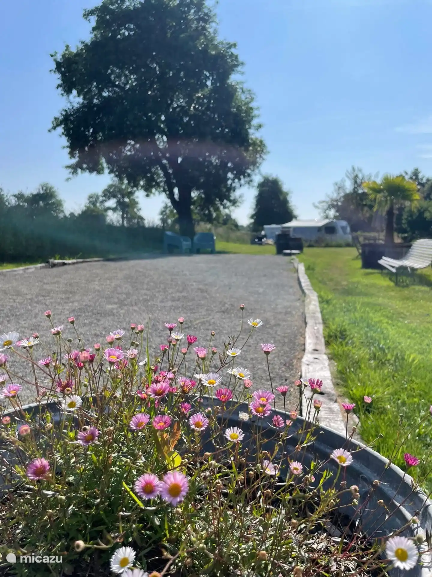 Petanque court at the campsite