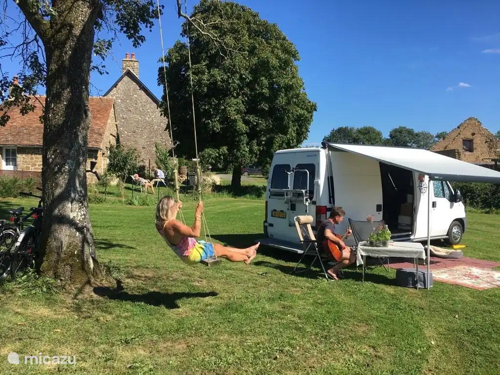 The swing to the old pear tree