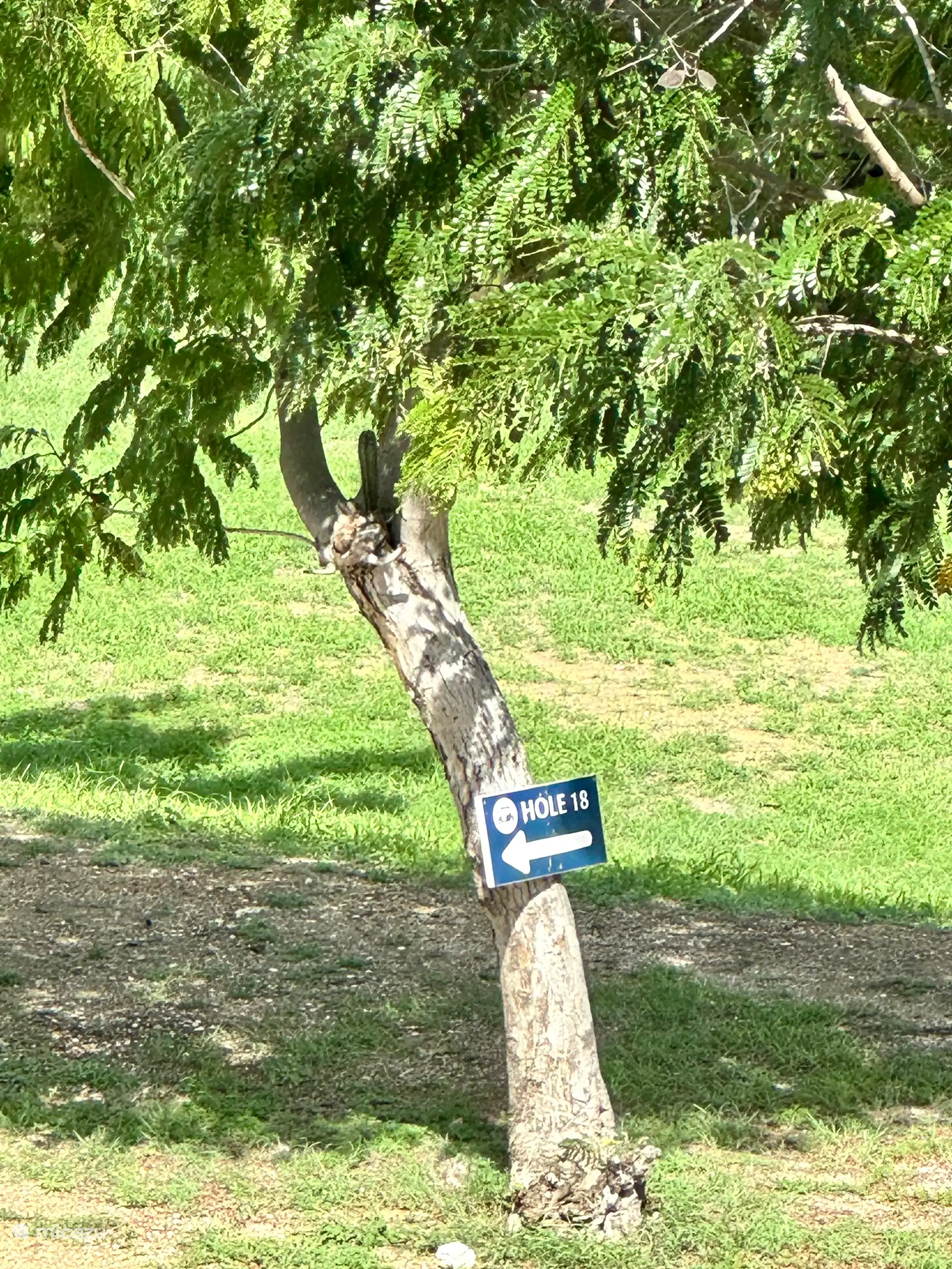 Bleu Bay es conocida por el campo de golf (al que puedes ir con descuento) y la fantástica playa con restaurantes y cafeterías.