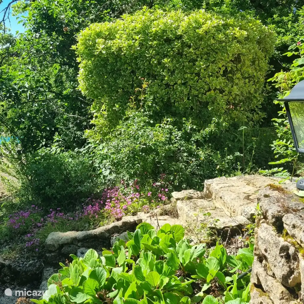 Vakantievilla met zwembad Dordogne