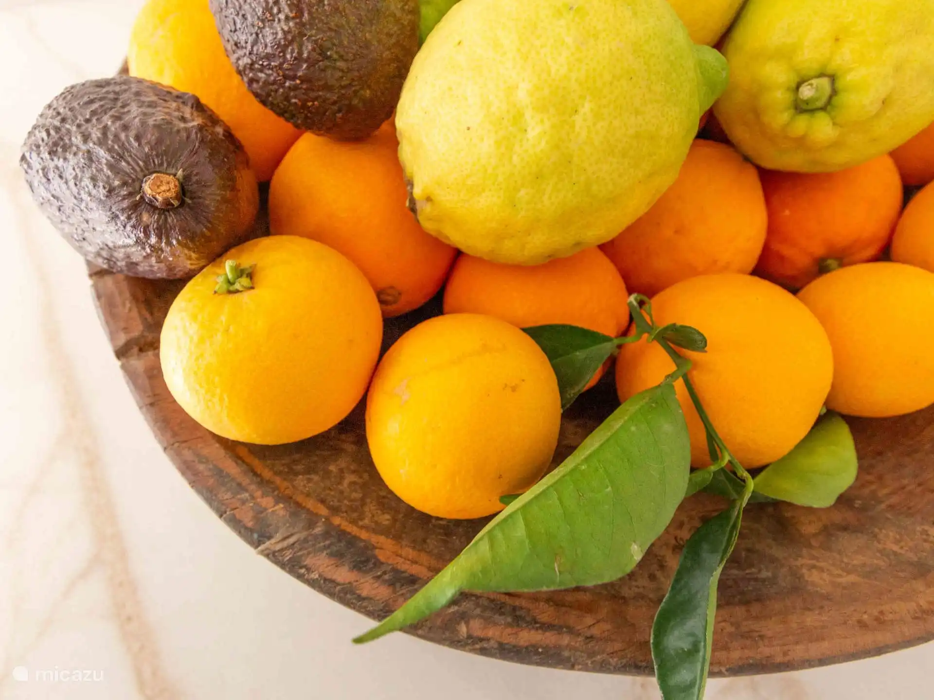 Casa La Vida - Citrus harvest from our own garden! 