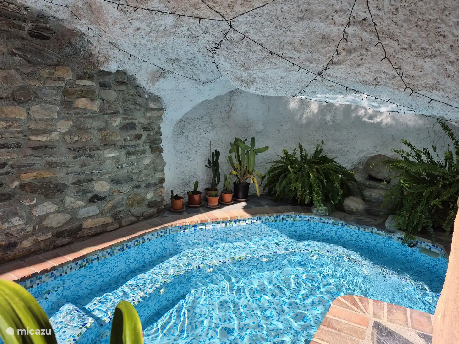 Grotzwembad met tropische beplanting