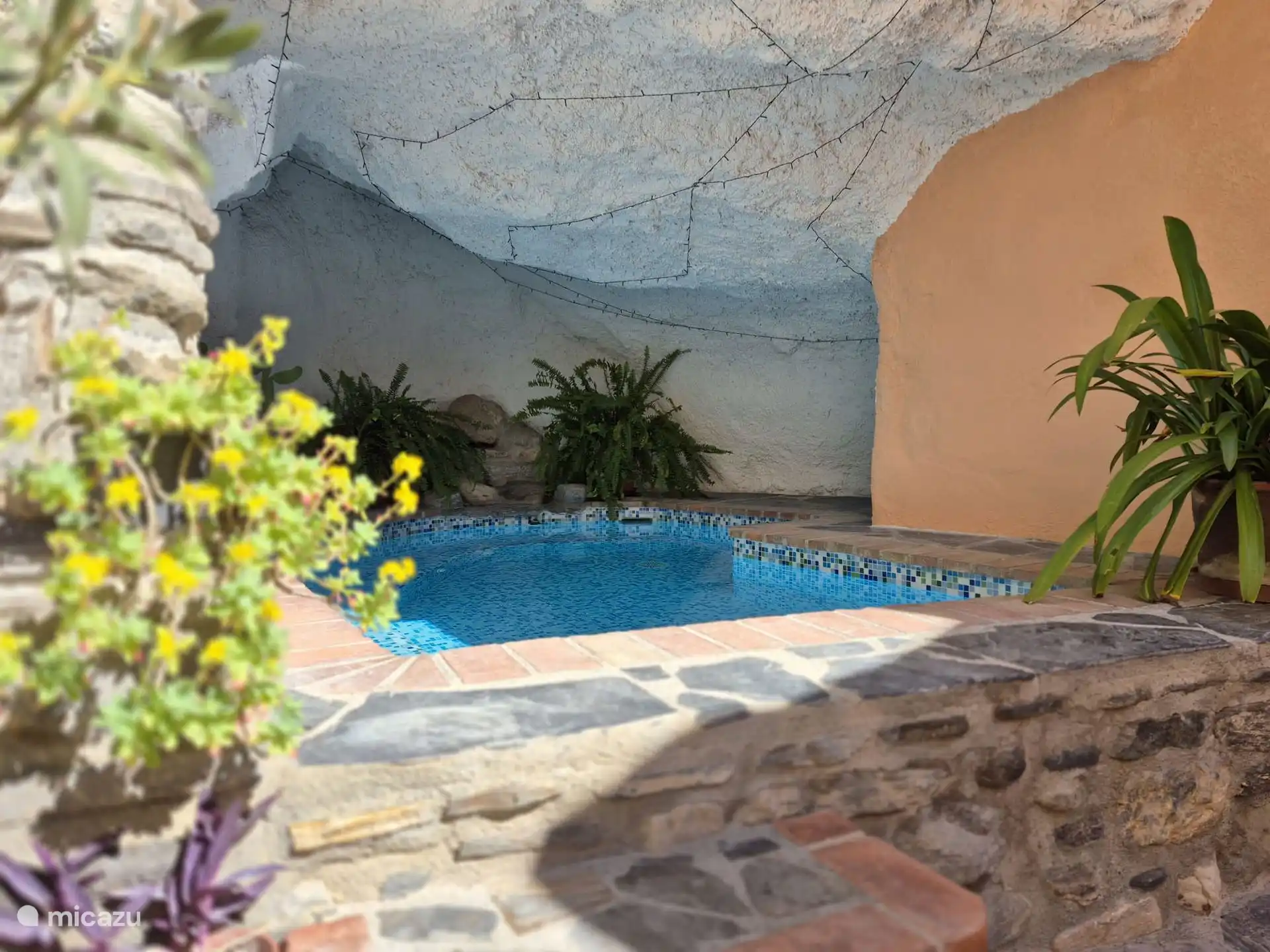 In de natuur, Spanje, Andalusië, Guajar Faraguit, vakantiehuis Casitas la Cueva; El Sol