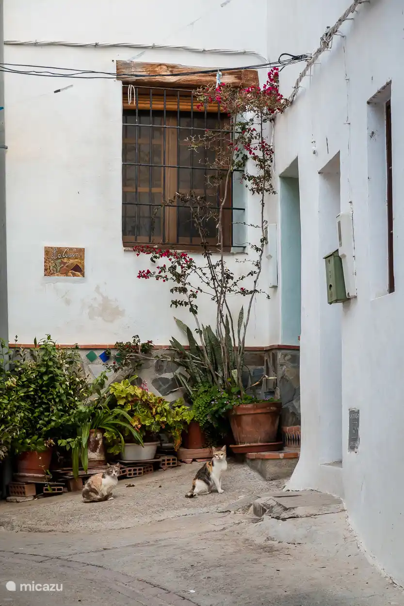 Ingang Casitas la Cueva