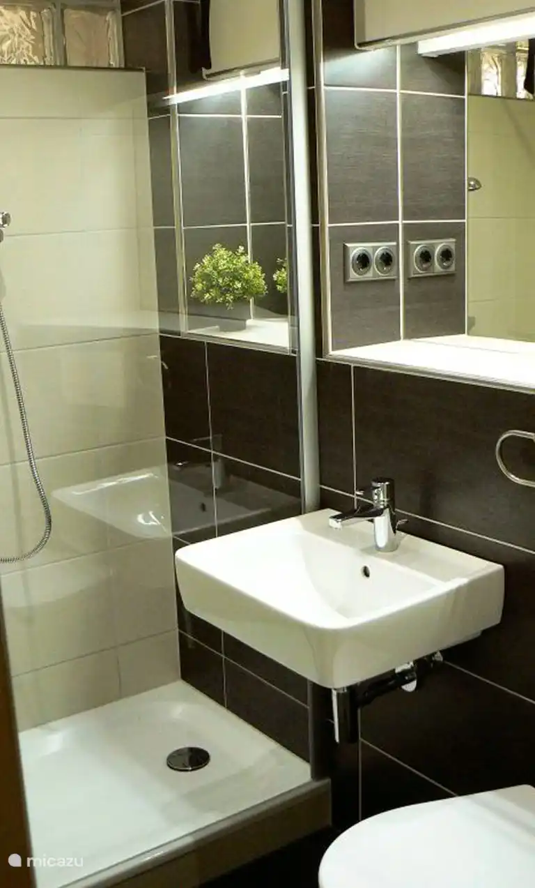De badkamer met douche, wastafel, toilet en een extra grote spiegel