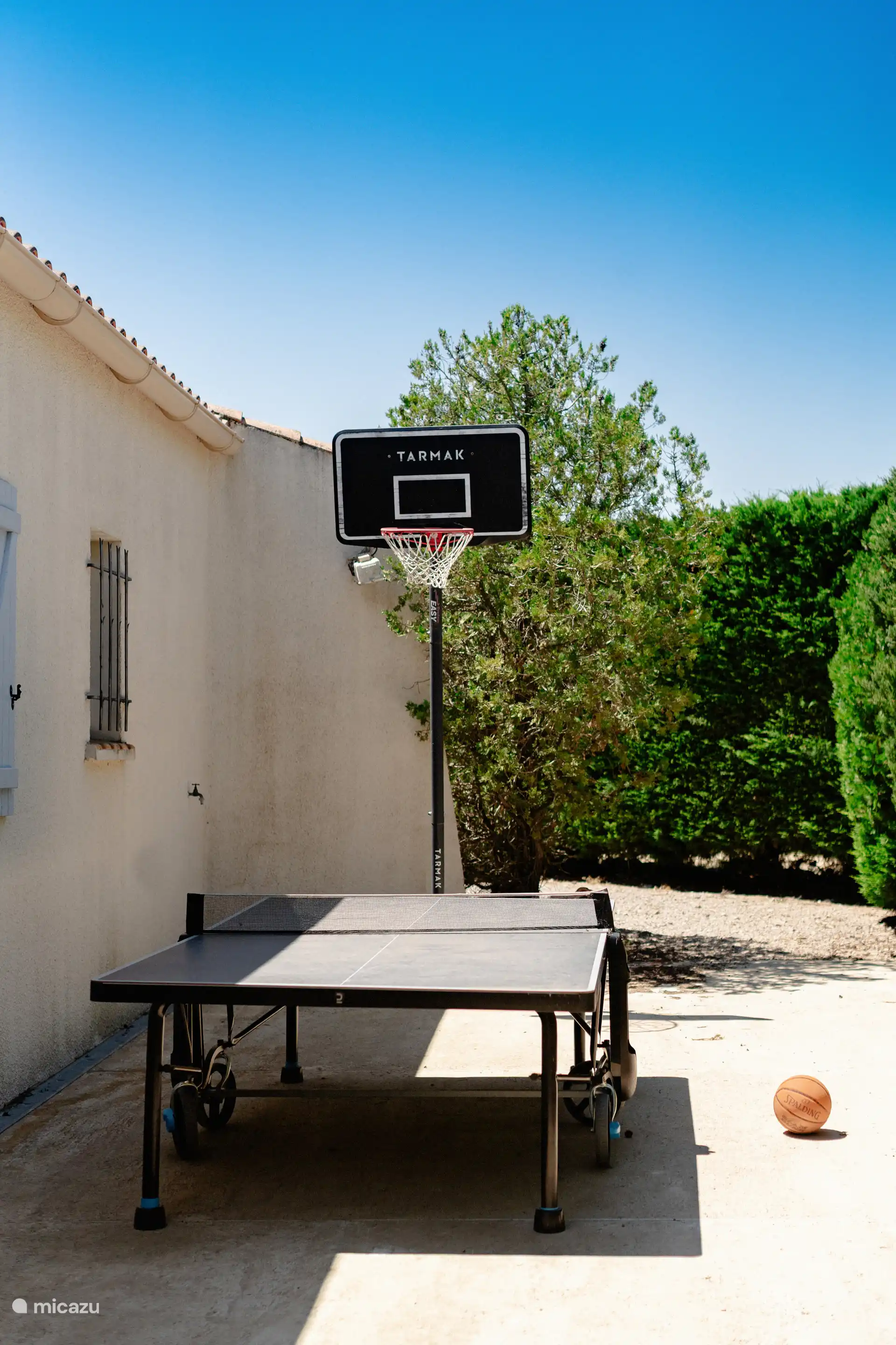 Panier de basket