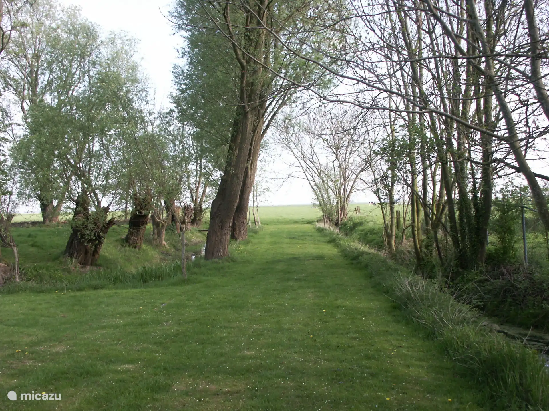 Vue depuis le jardin sur les champs.