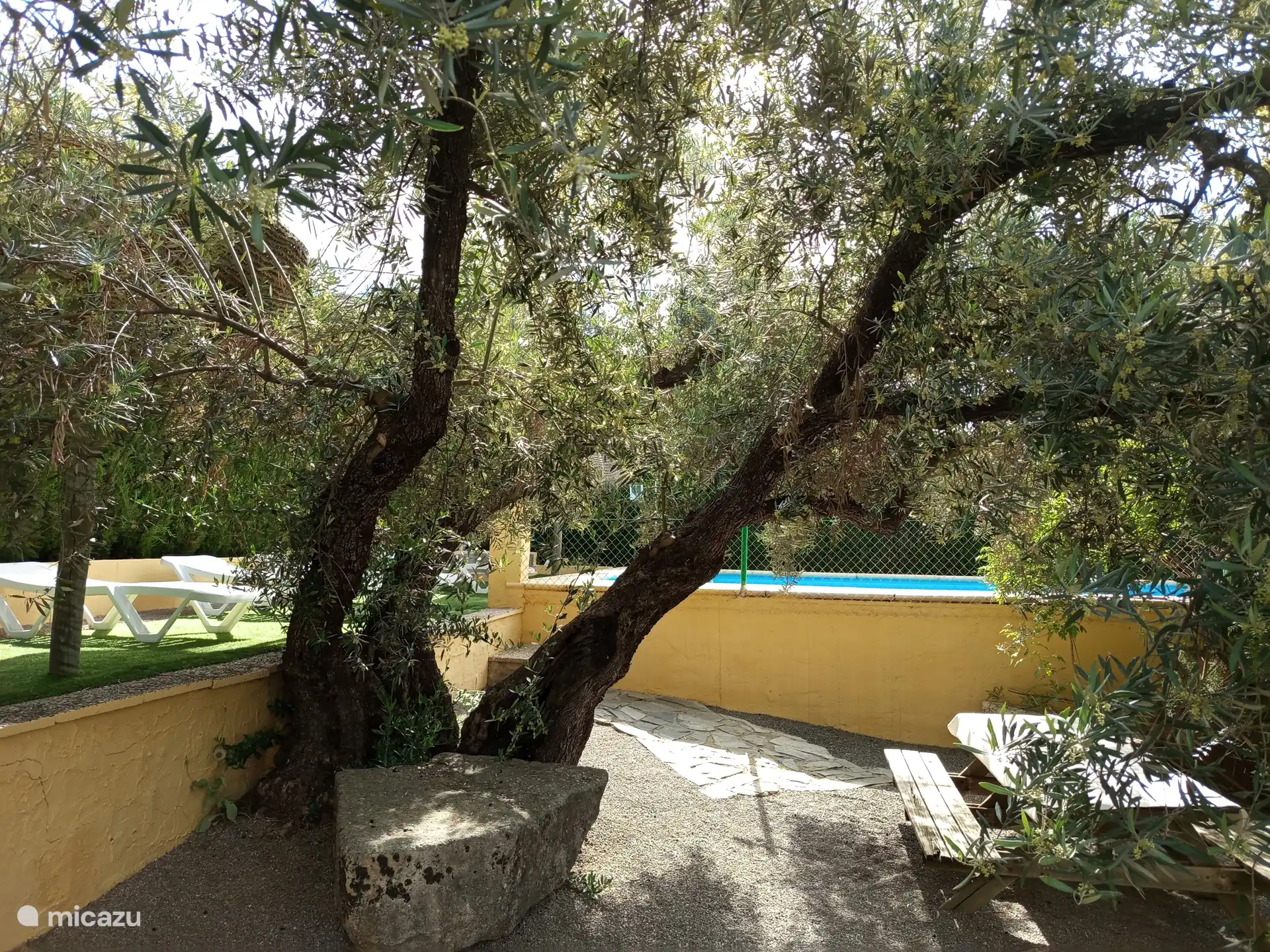 Junto a la piscina, encontrarás sombrillas y una mesa de picnic a la sombra bajo un olivo
