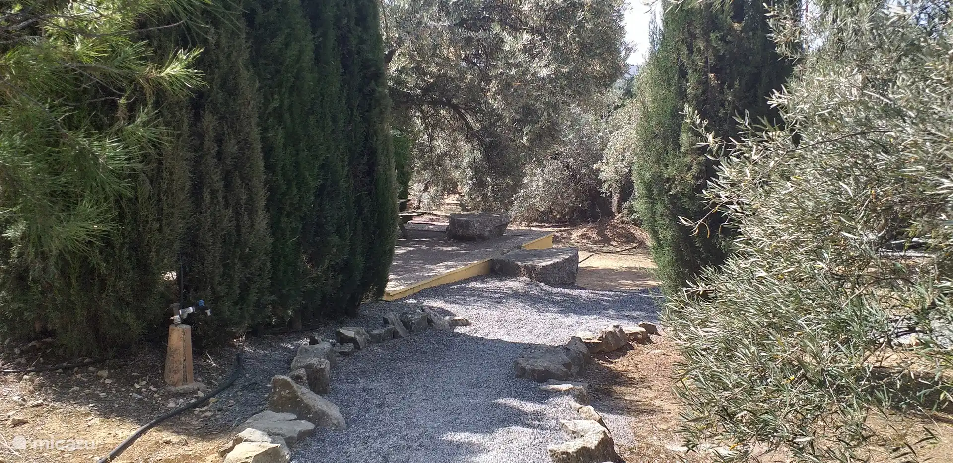 une partie du grand jardin. C’est le chemin de la maison à la piscine. La piscine se trouve à 15 mètres de la maison