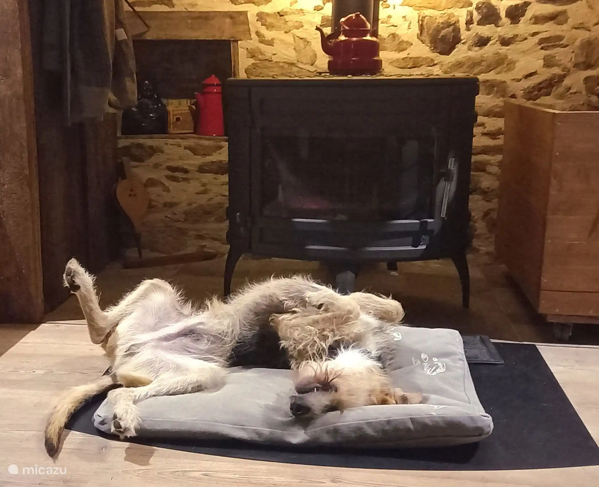 Max. 2 chiens sont les bienvenus