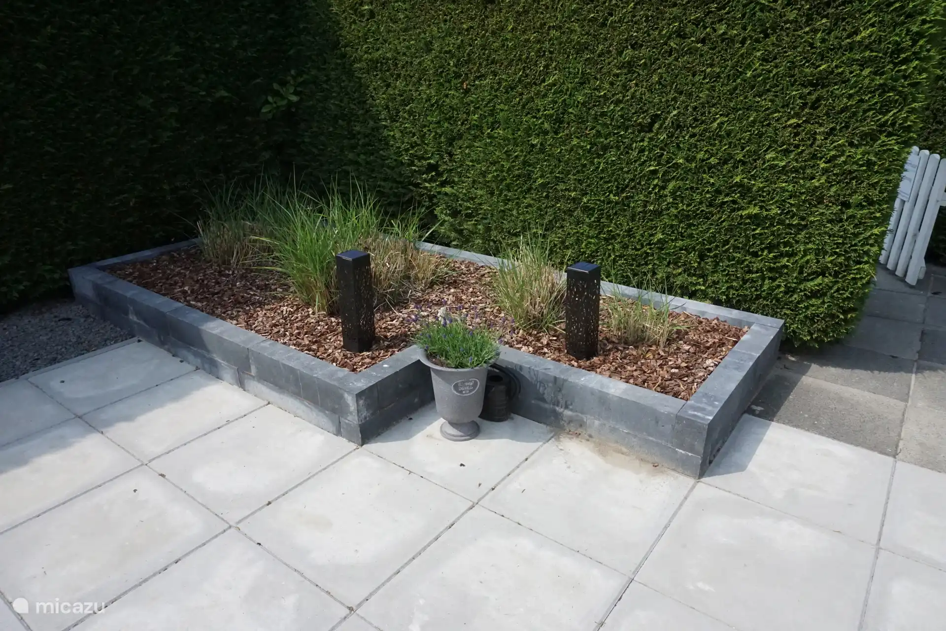 Tuin