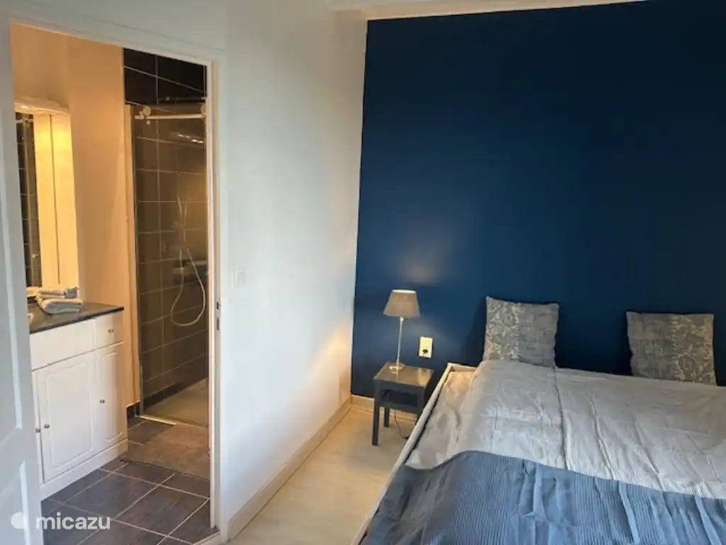 Chambre 2 avec salle de bain