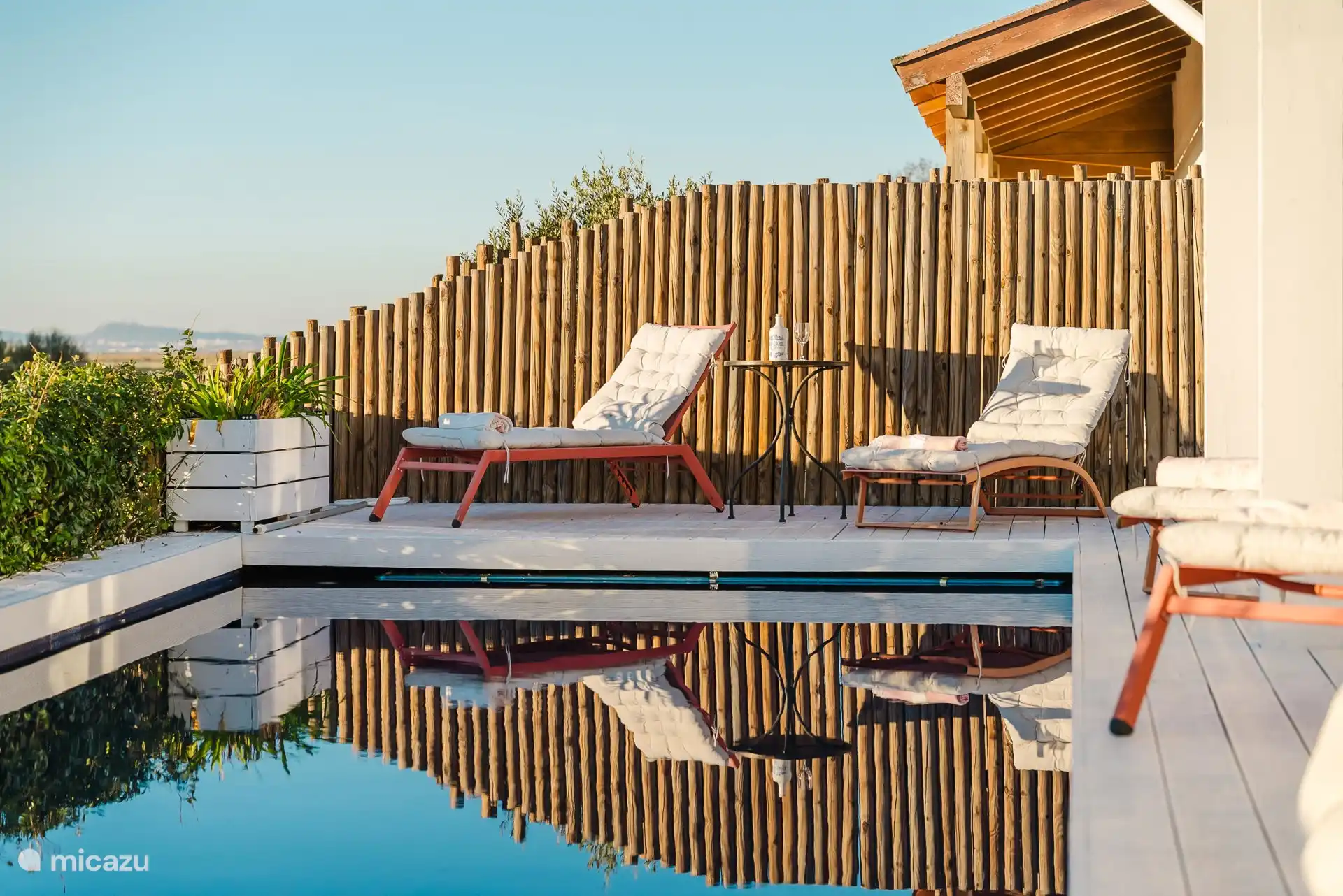 Chaises longues au bord de la piscine