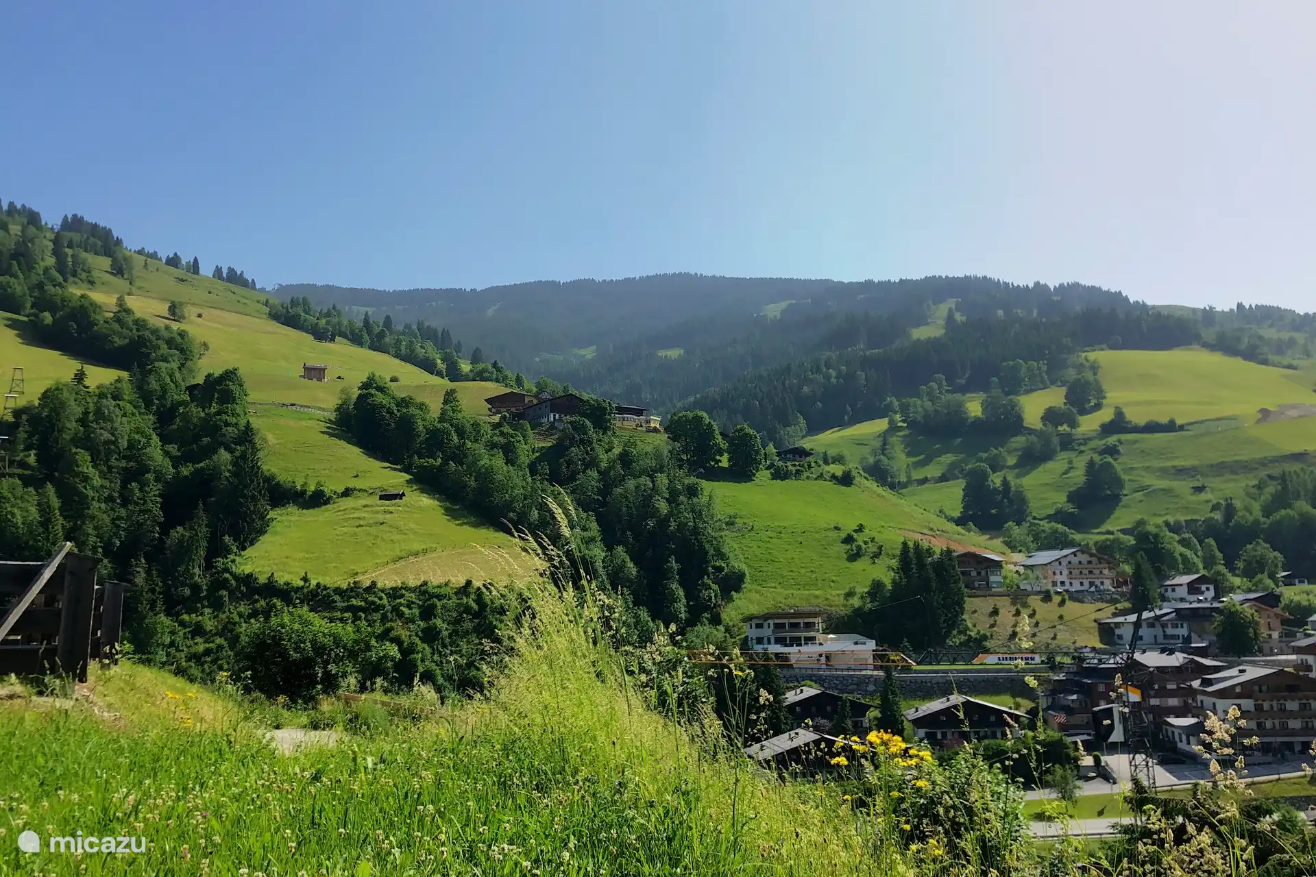 Uitzicht vanuit de tuin.