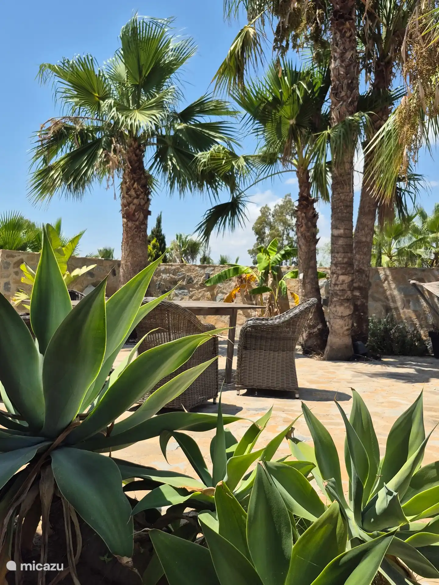 Pool, Lounge, Garten