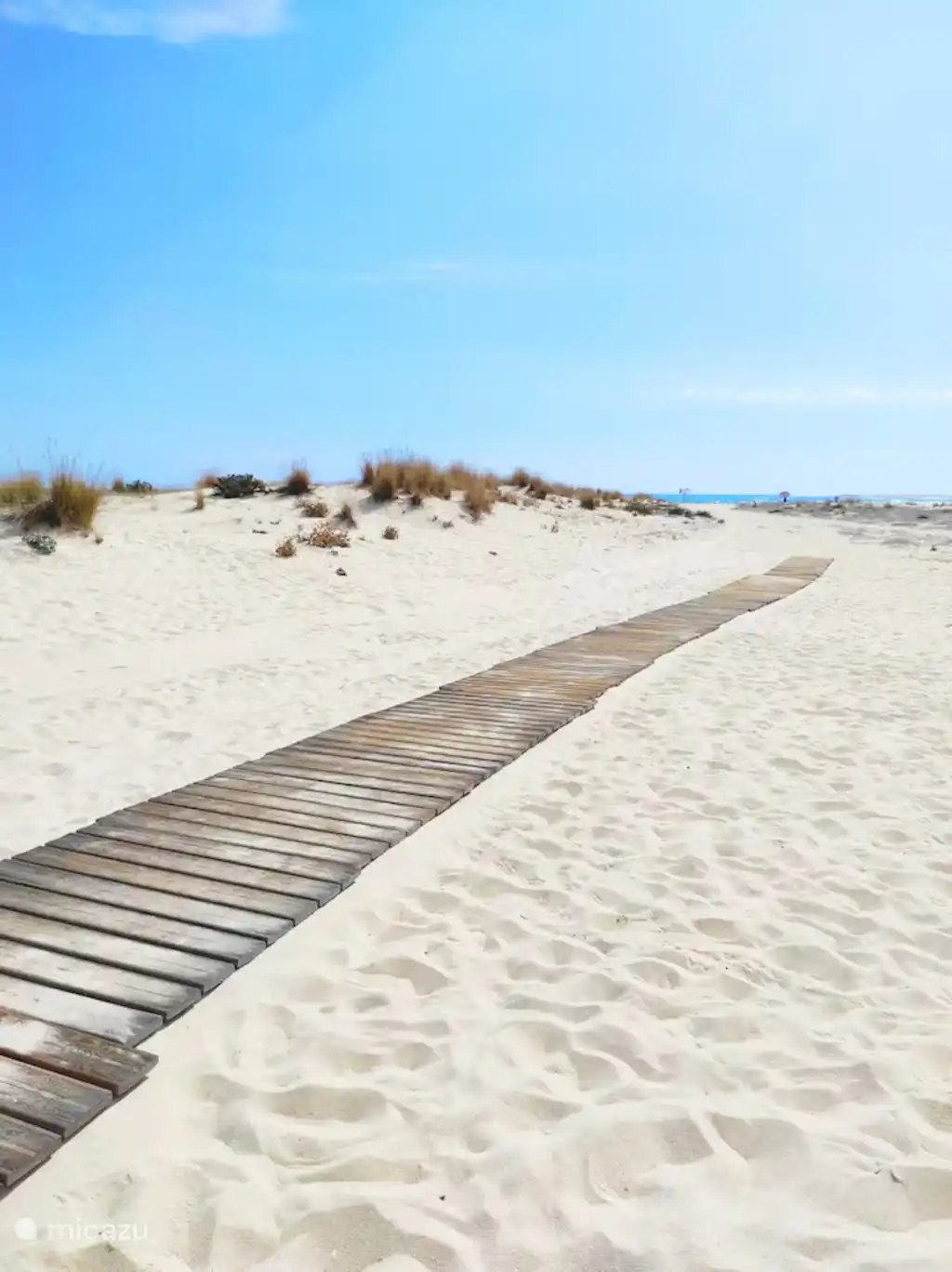 Strandvlonders