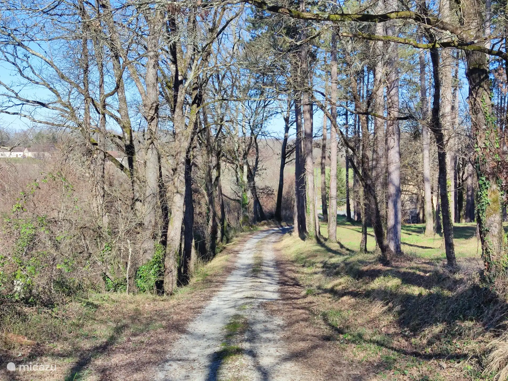 La route à travers la forêt