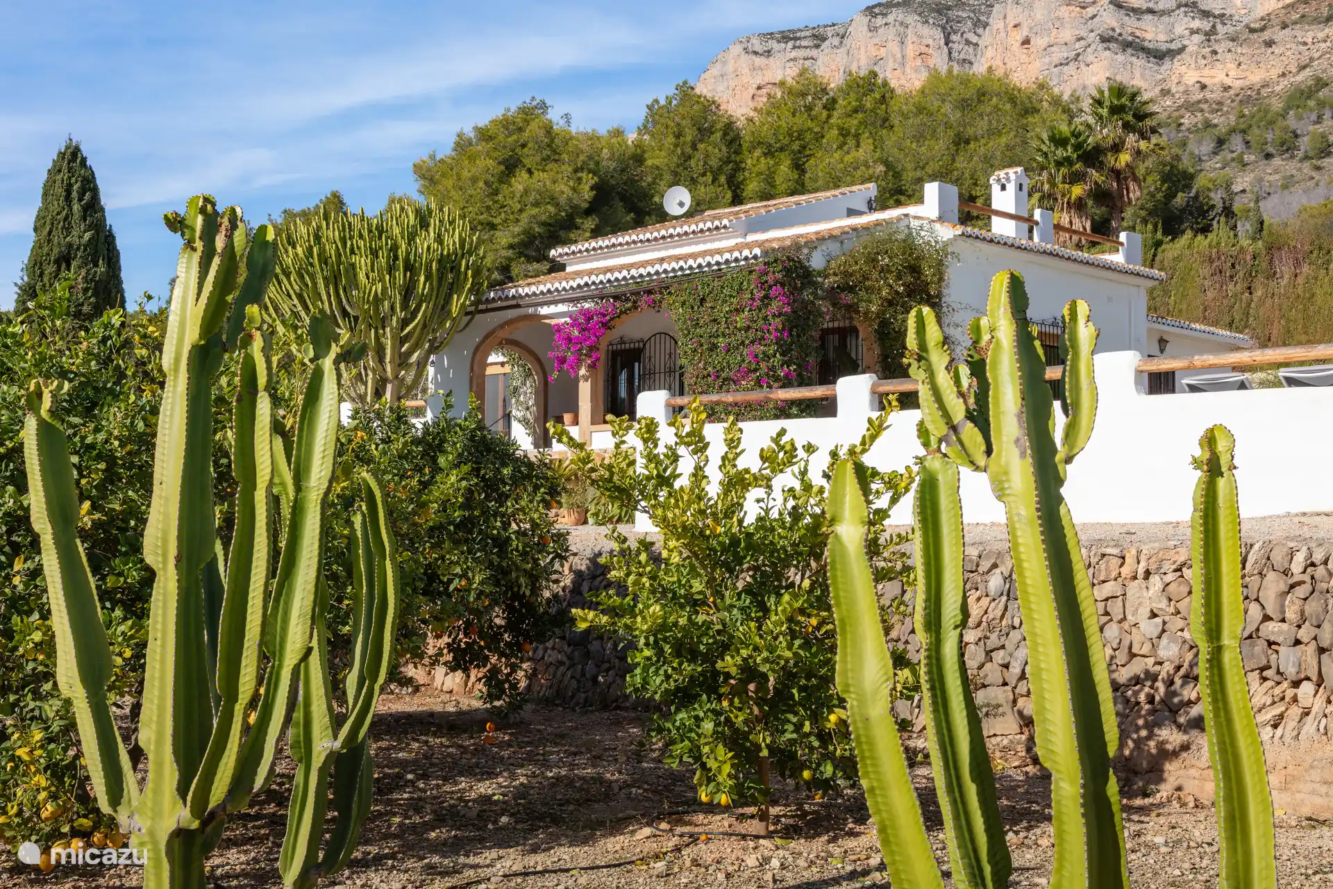 Villa van de sinaasappelbomen