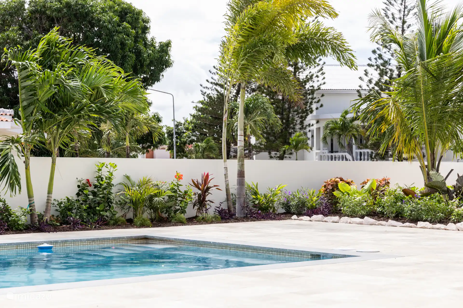 Piscine et jardin tropical 