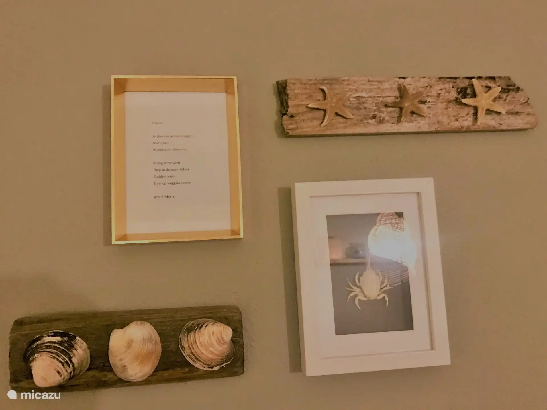 wand decoratie van strand vondsten