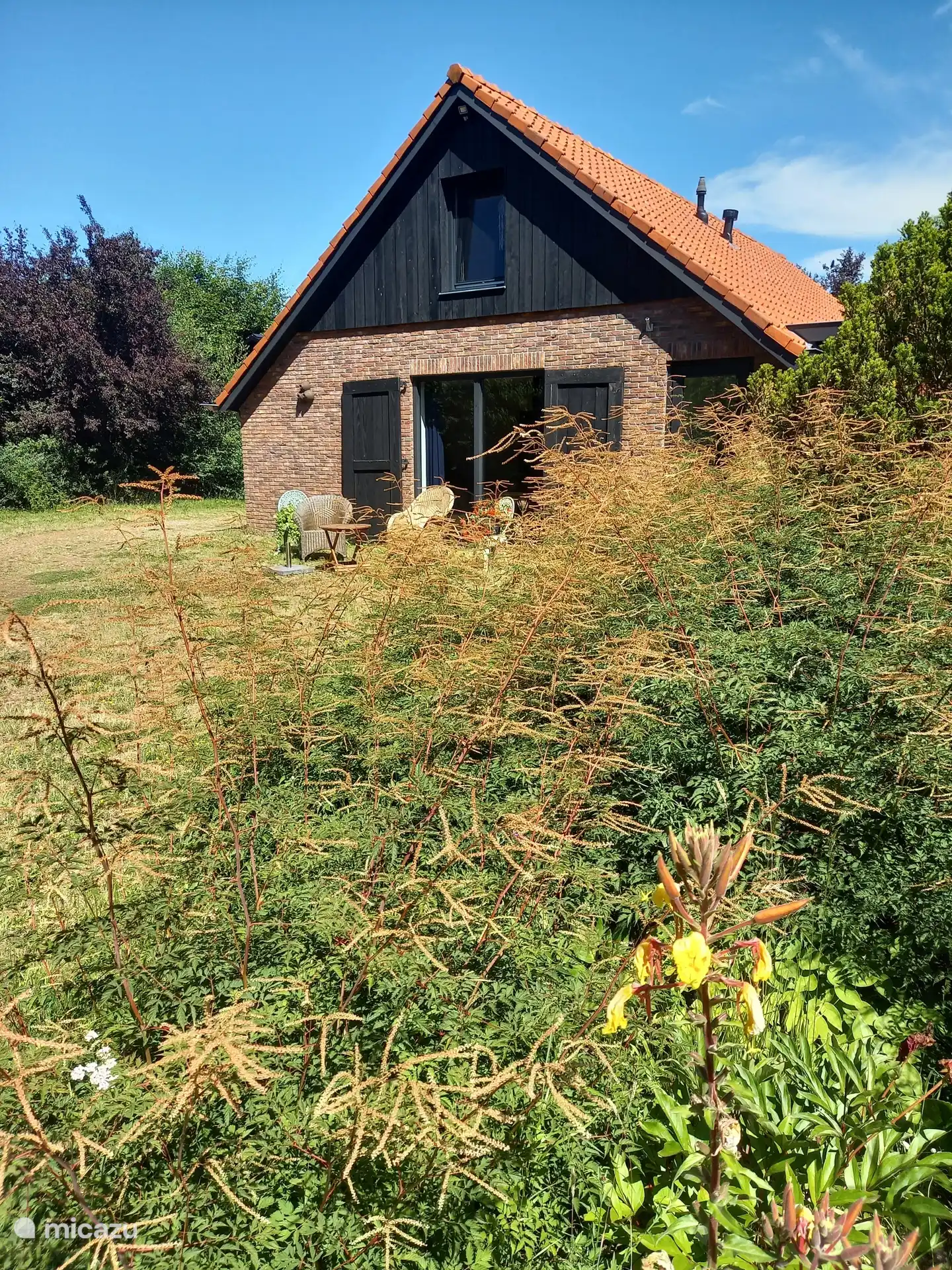 Casa vacacional nuevo Países Bajos, Overijssel, Weerselo – casa vacacional Casa de la Naturaleza Marke Lemselo