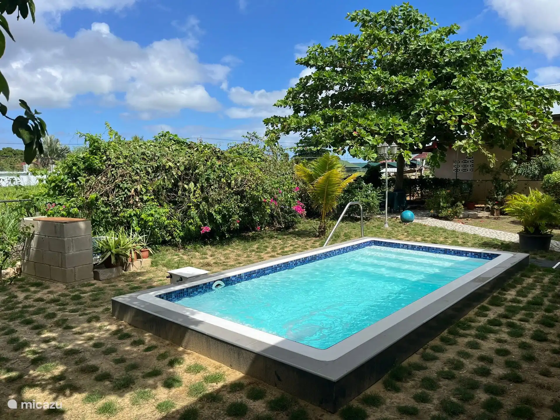 Piscina desde la terraza