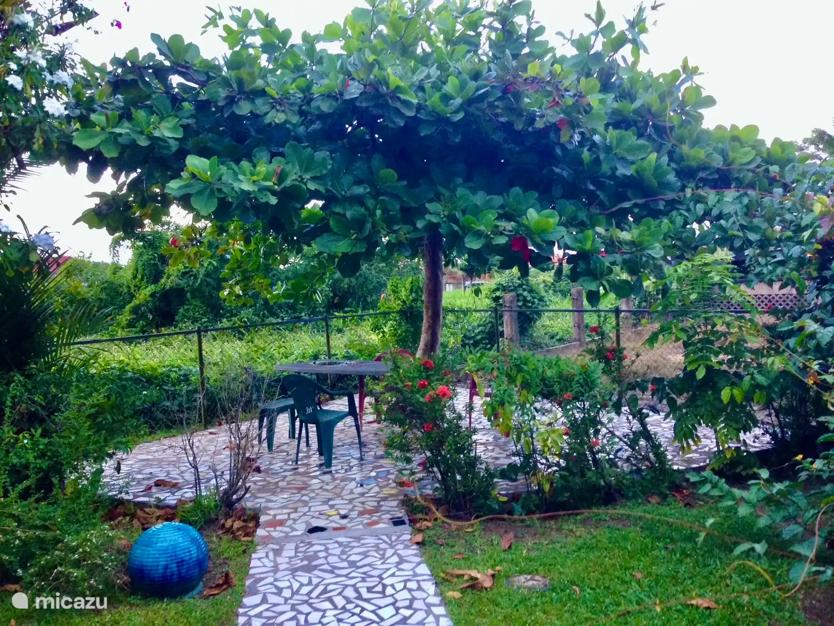 Außensitzplätze unter einem Mandelbaum