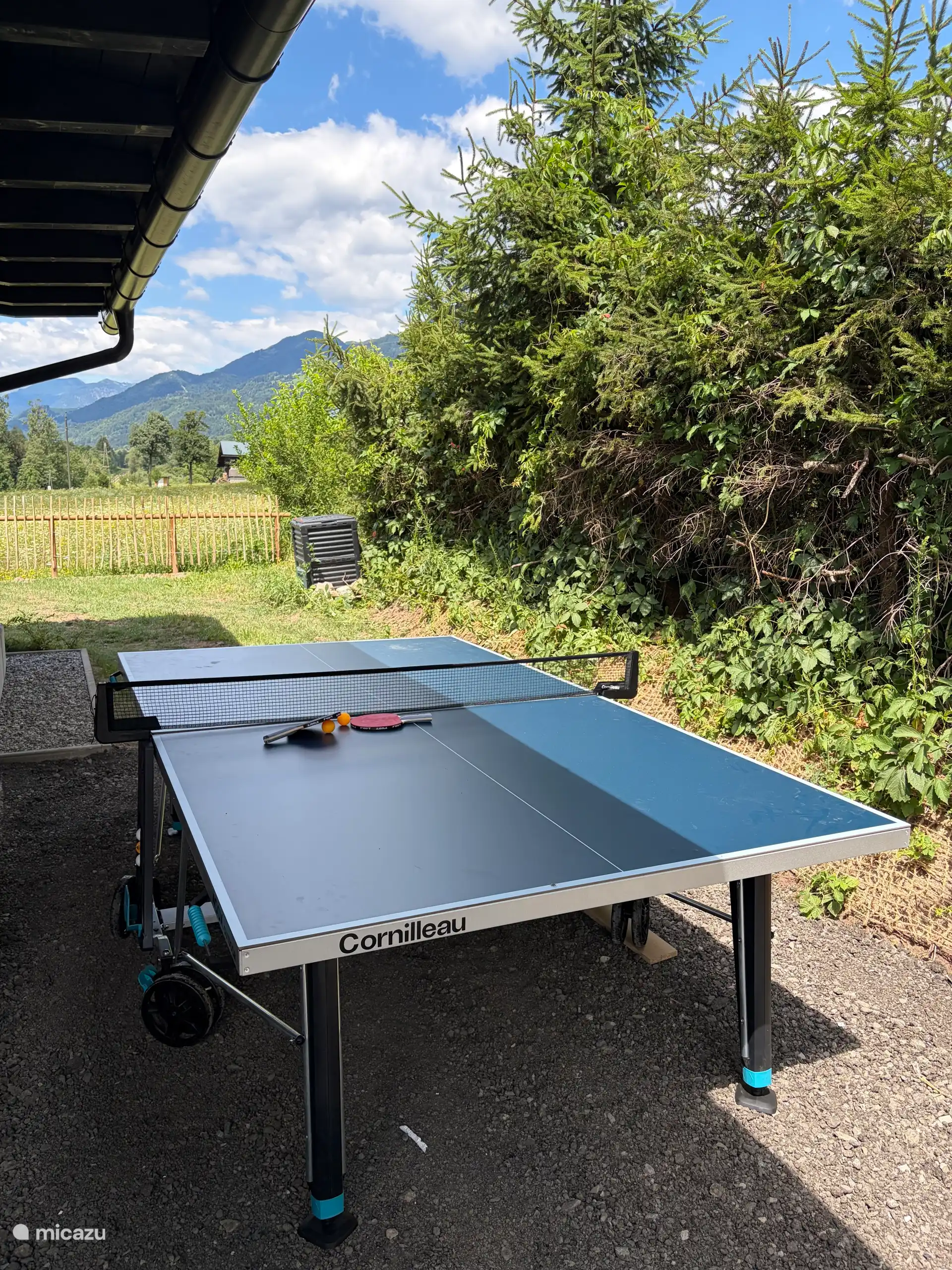 Mesa de tenis de mesa