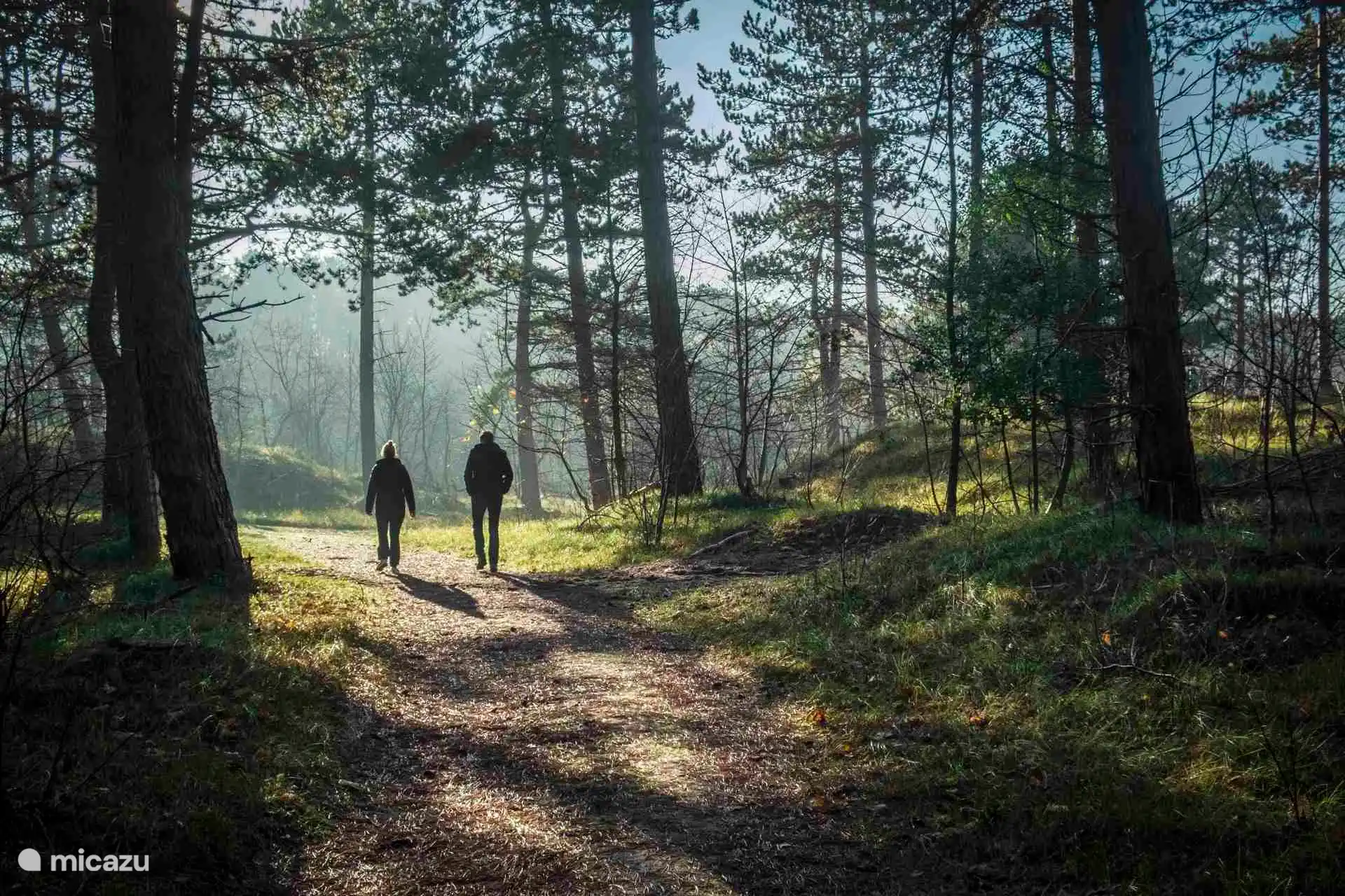 La plus grande forêt de Zélande se trouve à 5 minutes à pied de la maison de vacances.