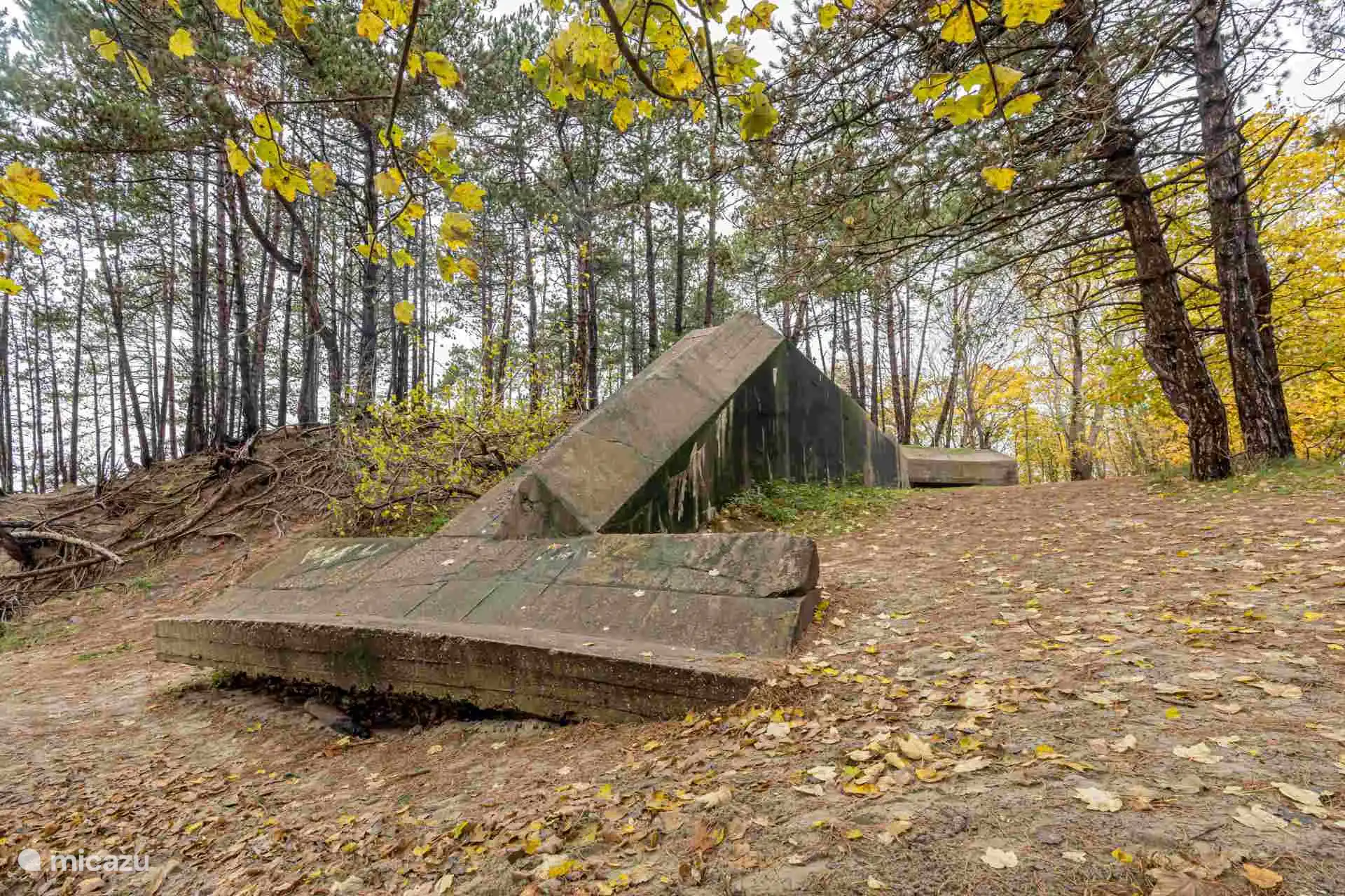 Le Bunker de la Baleine, l’un des nombreux bunkers que l’on trouve le long des itinéraires piétonniers et cyclables de Burgh-Haamstede.