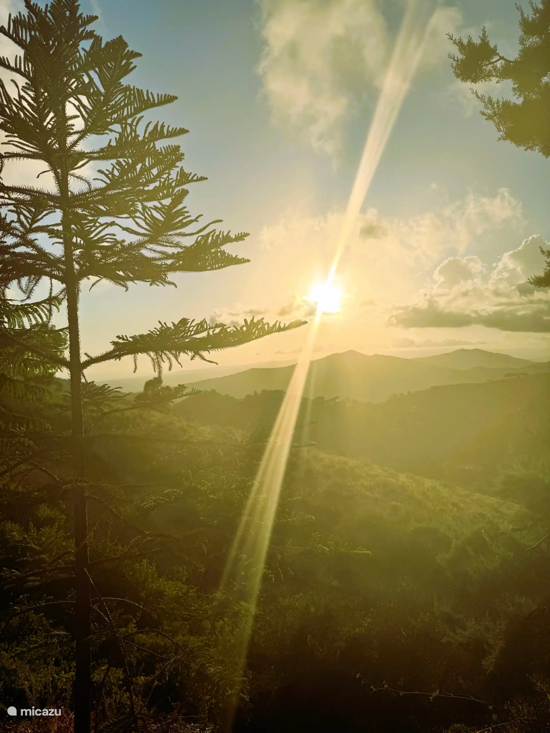 Uitzicht vanuit tuin