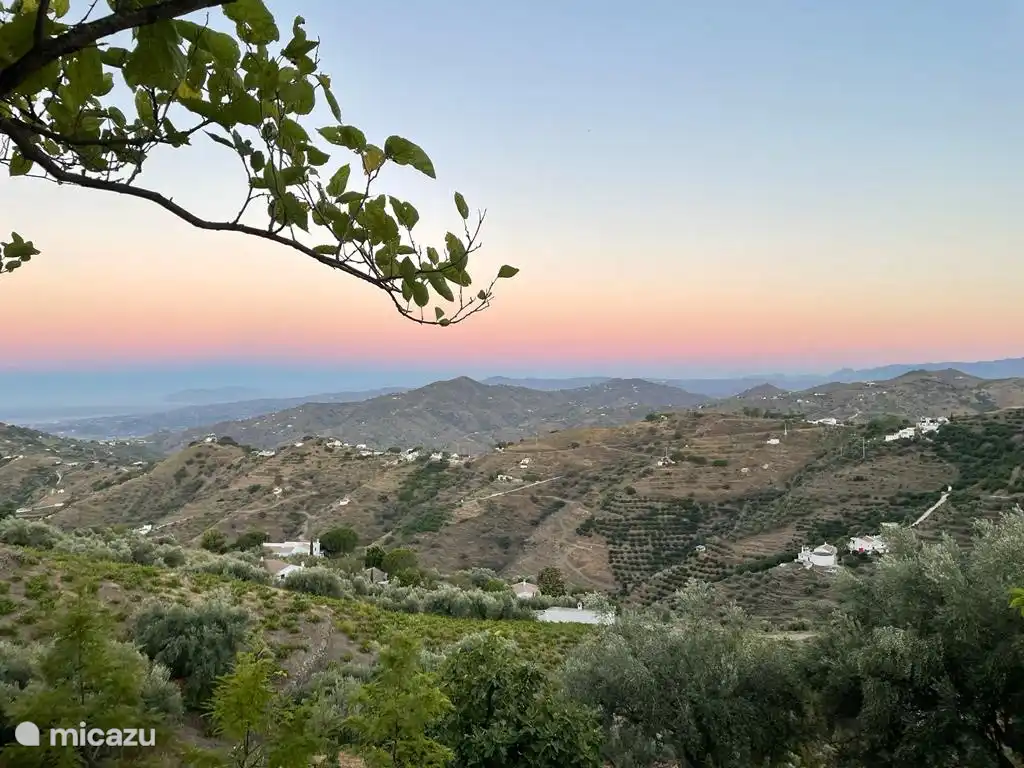 uitzicht vanuit tuin