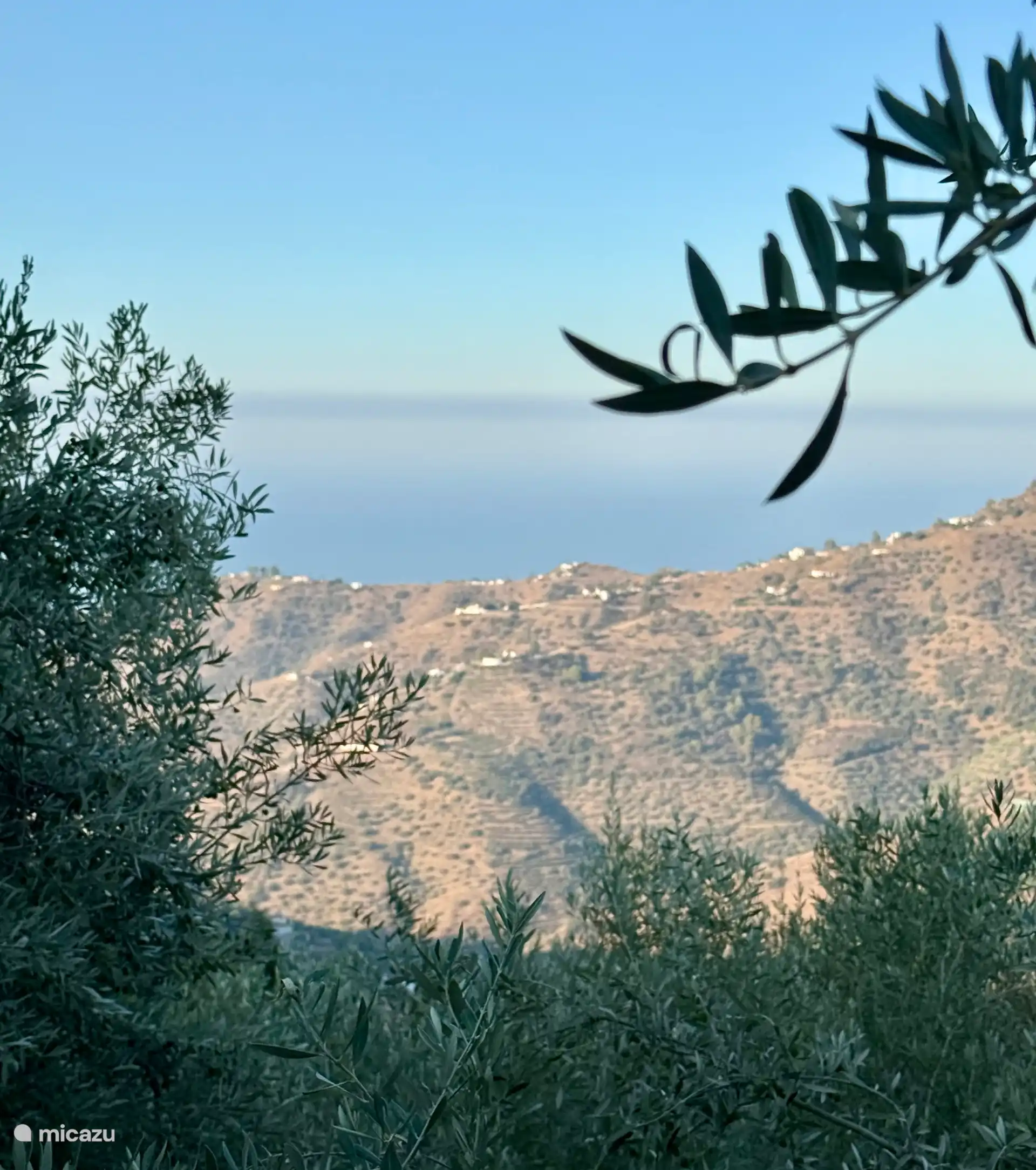 uitzicht zee vanuit tuin