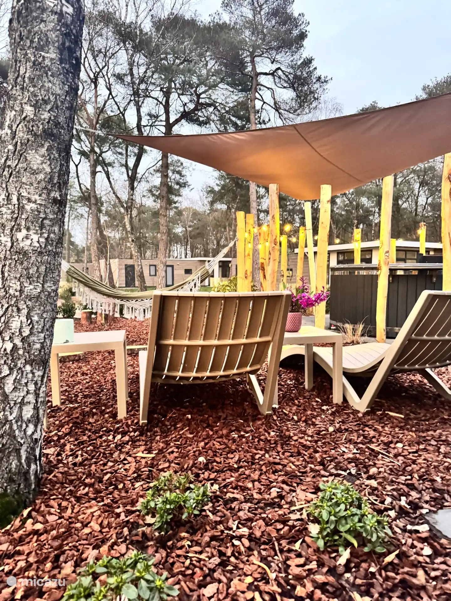 View from reclining lounge chairs 