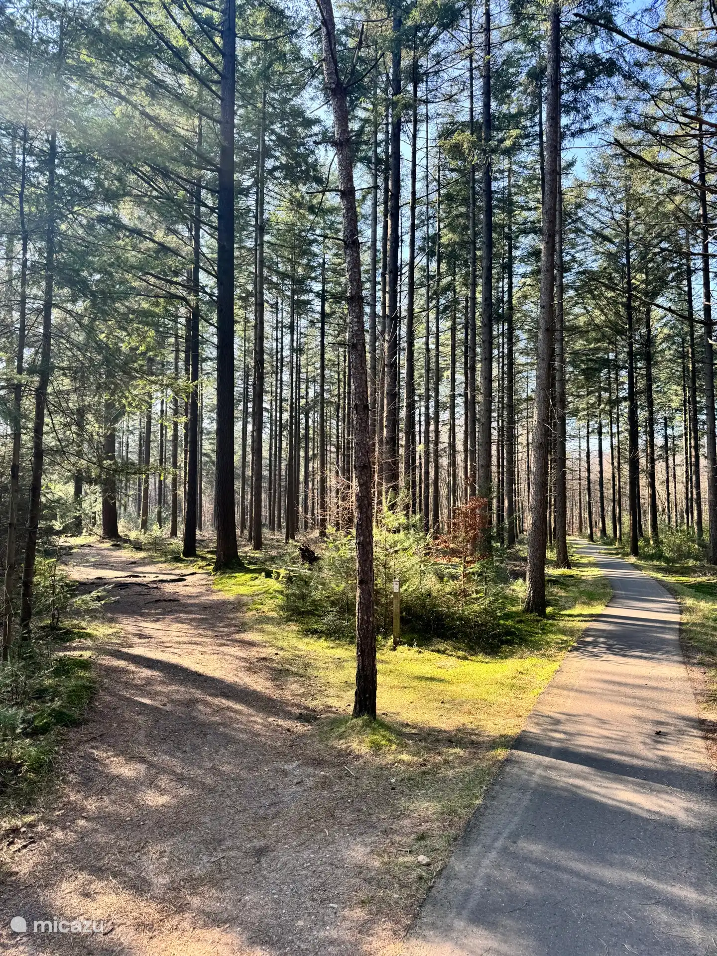 Schitterende wandel- en fietsroutes in Nationaal Park de Sallandse Heuvelrug starten vanaf de voordeur bij Boshuisje Nero. 